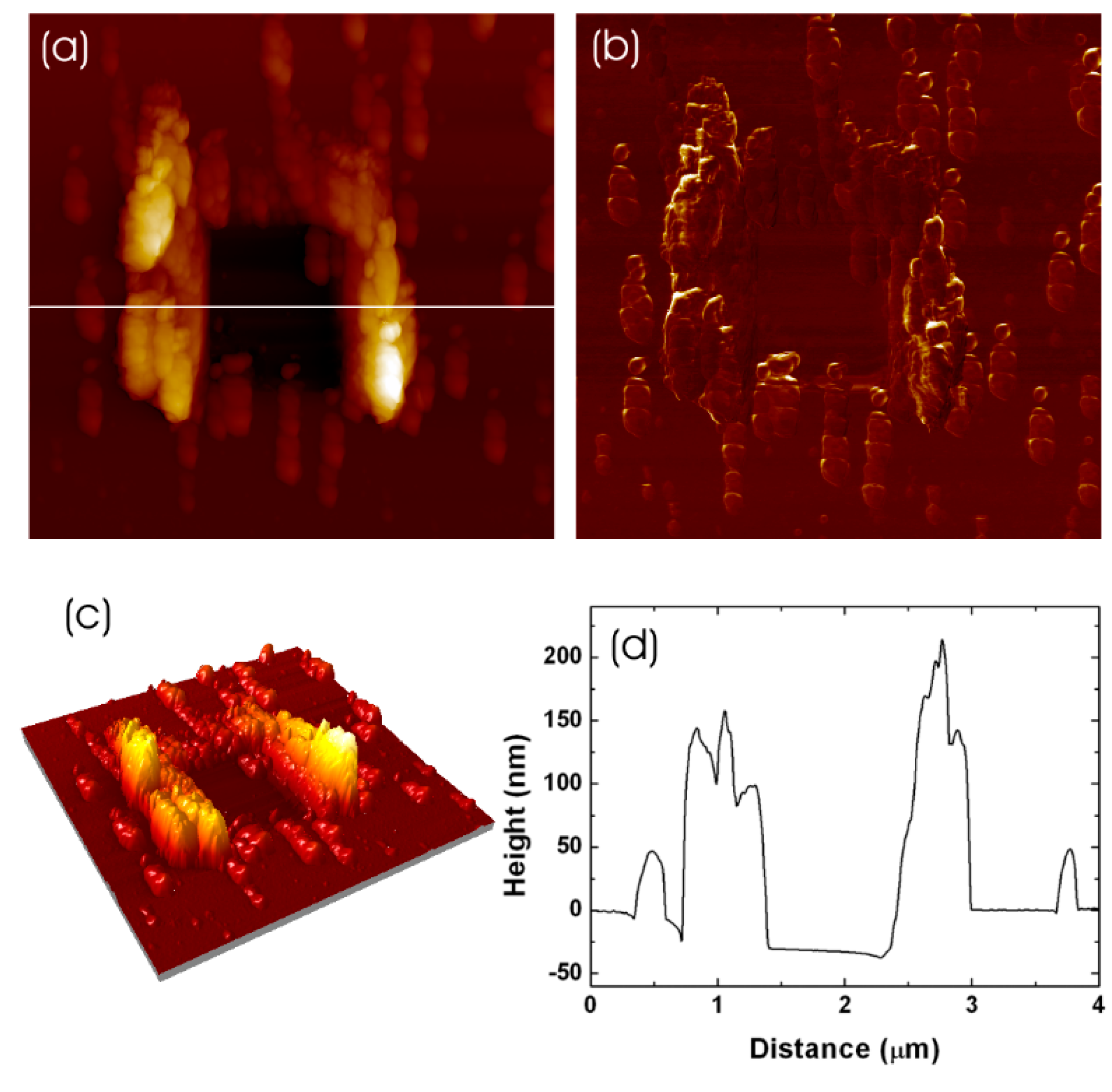 Coatings 13 01187 g009 Coatings 13 01187 g009