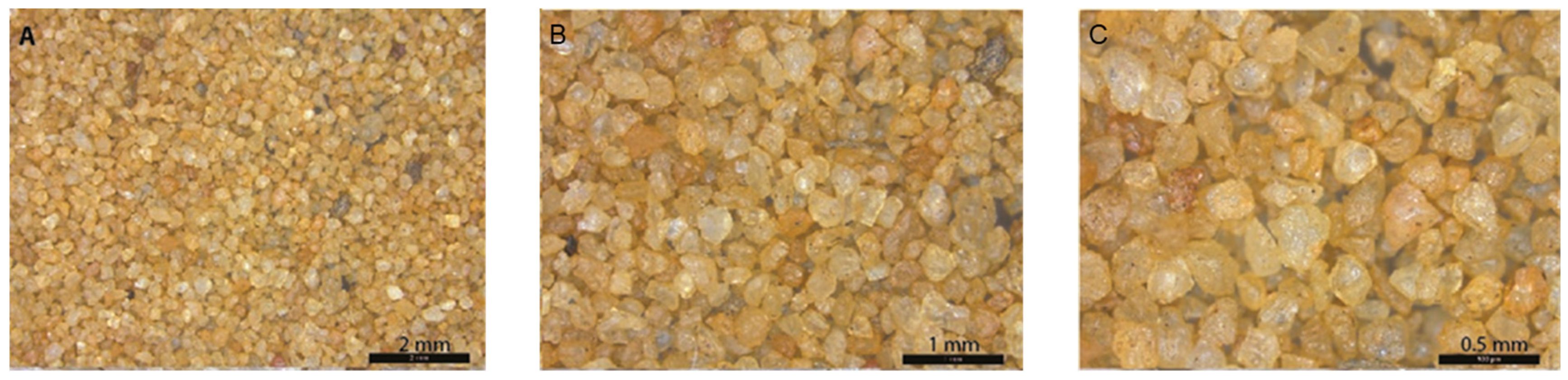 Coatings 13 01188 g001 Coatings 13 01188 g001