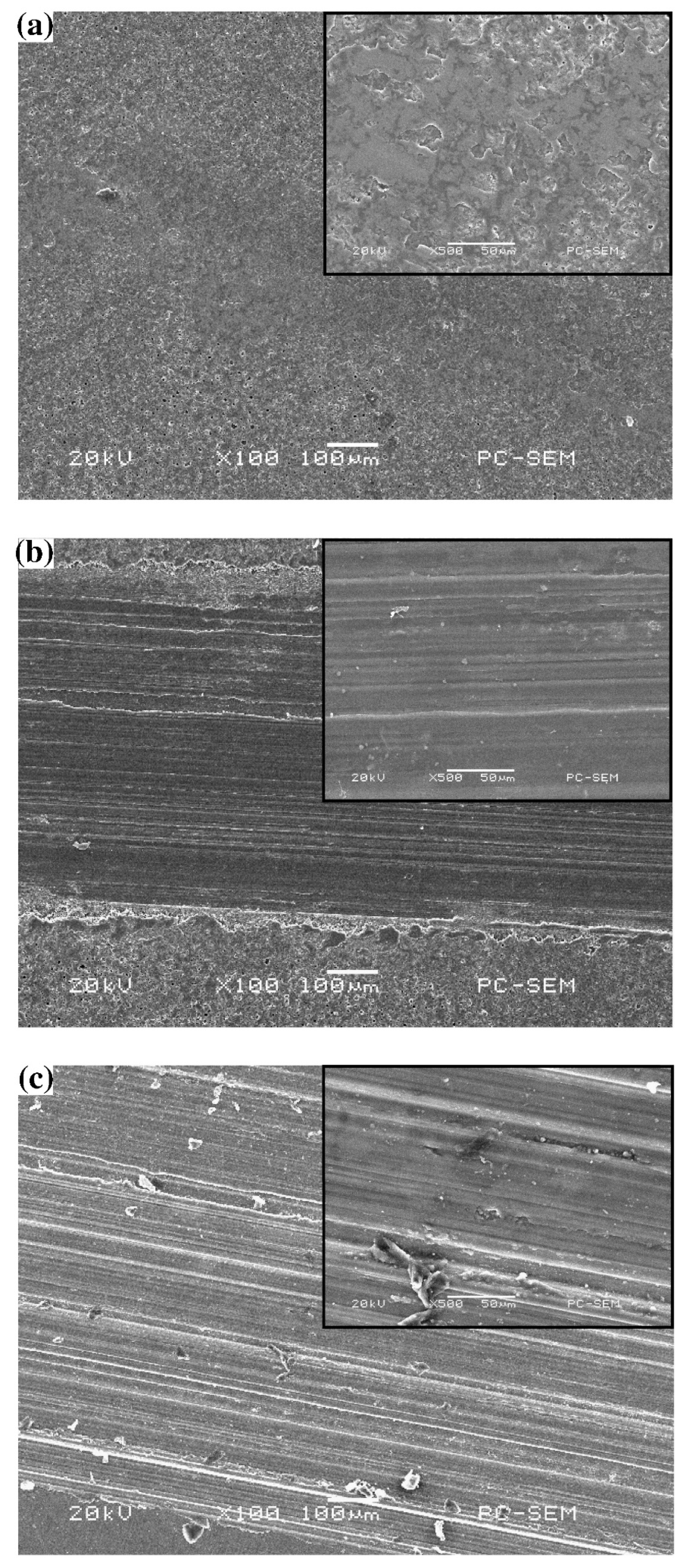 Coatings 13 01189 g003 Coatings 13 01189 g003
