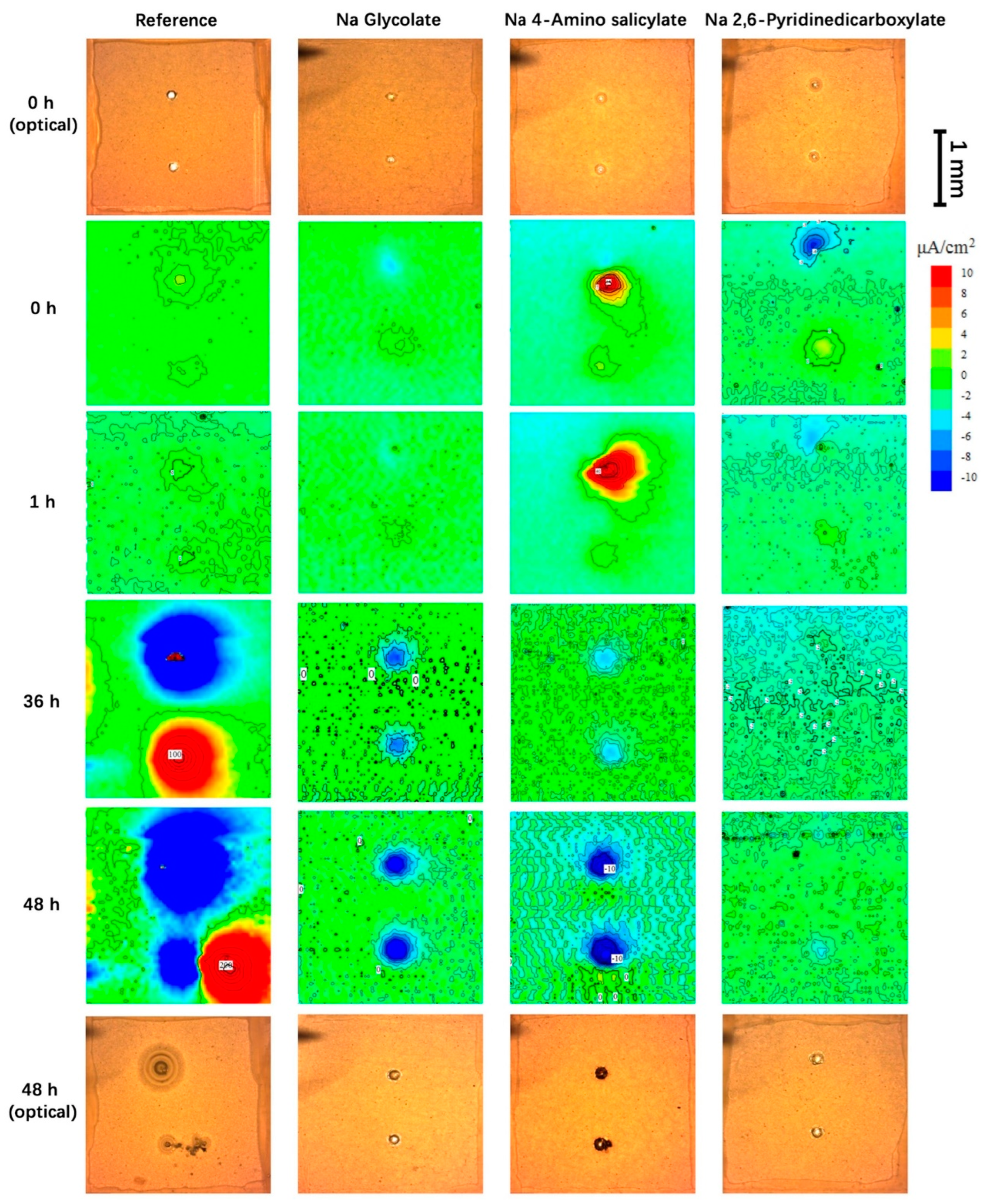 Coatings 13 01189 g011 Coatings 13 01189 g011