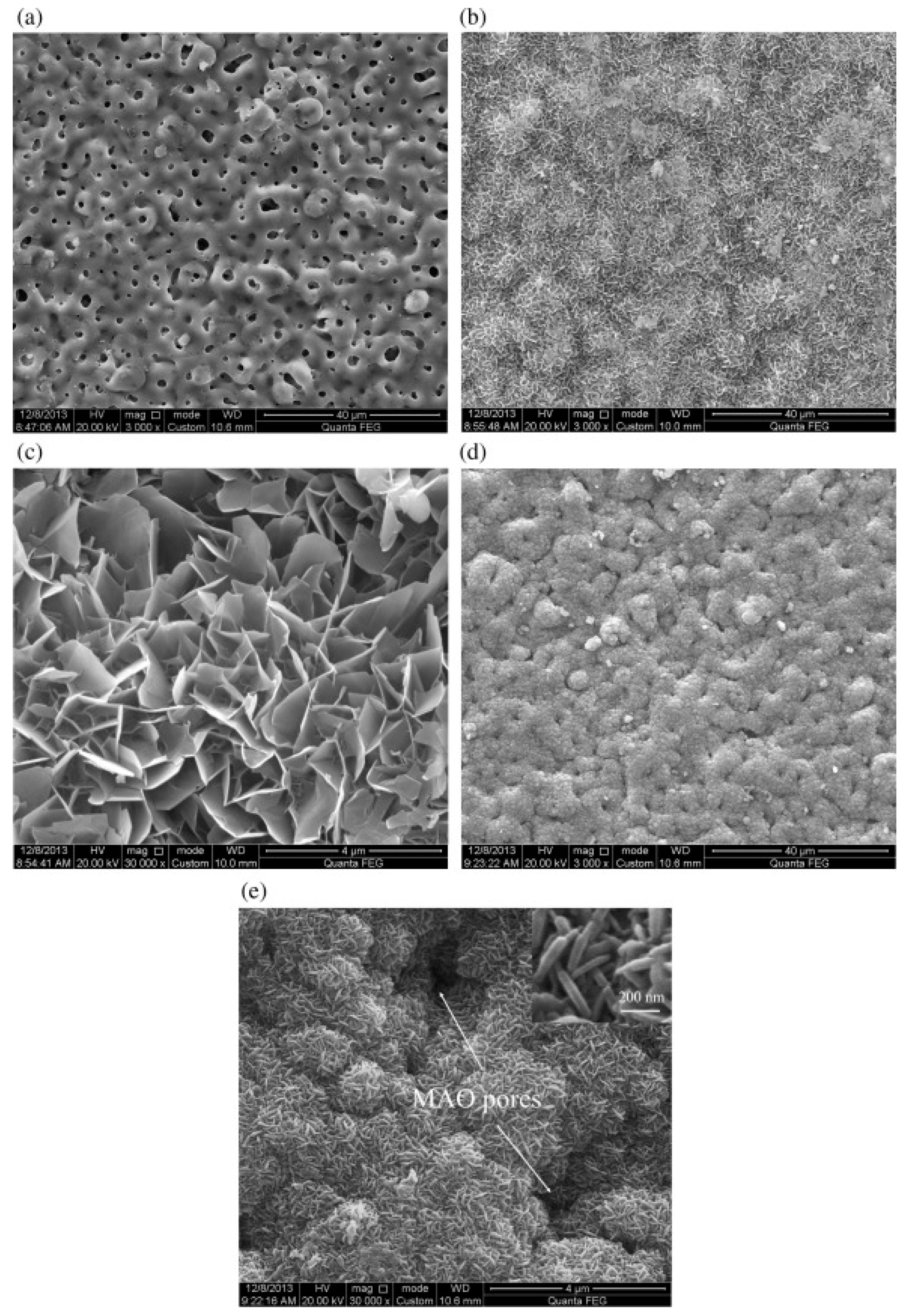 Coatings 13 01189 g012 Coatings 13 01189 g012