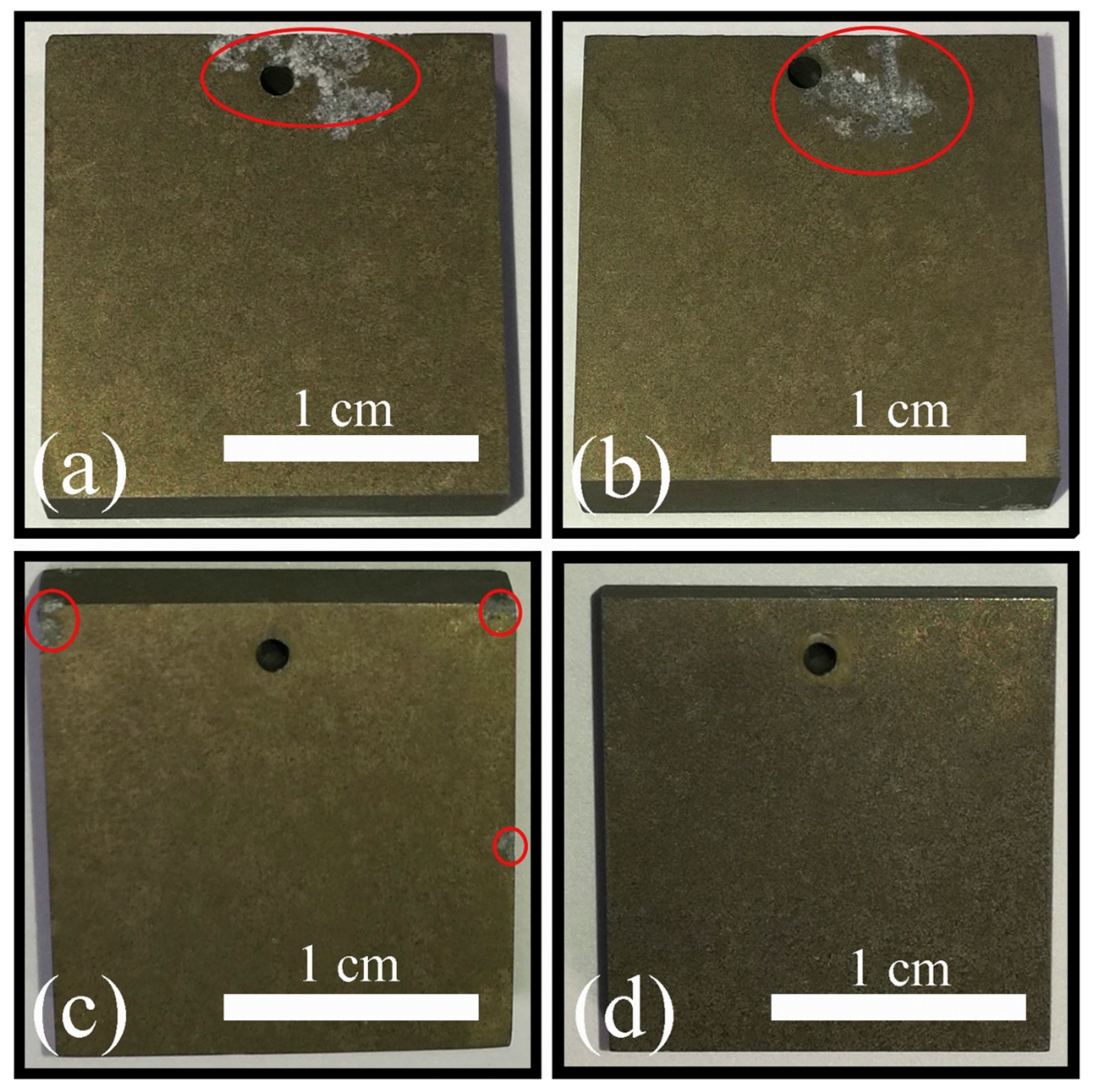 Coatings 13 01189 g013 Coatings 13 01189 g013