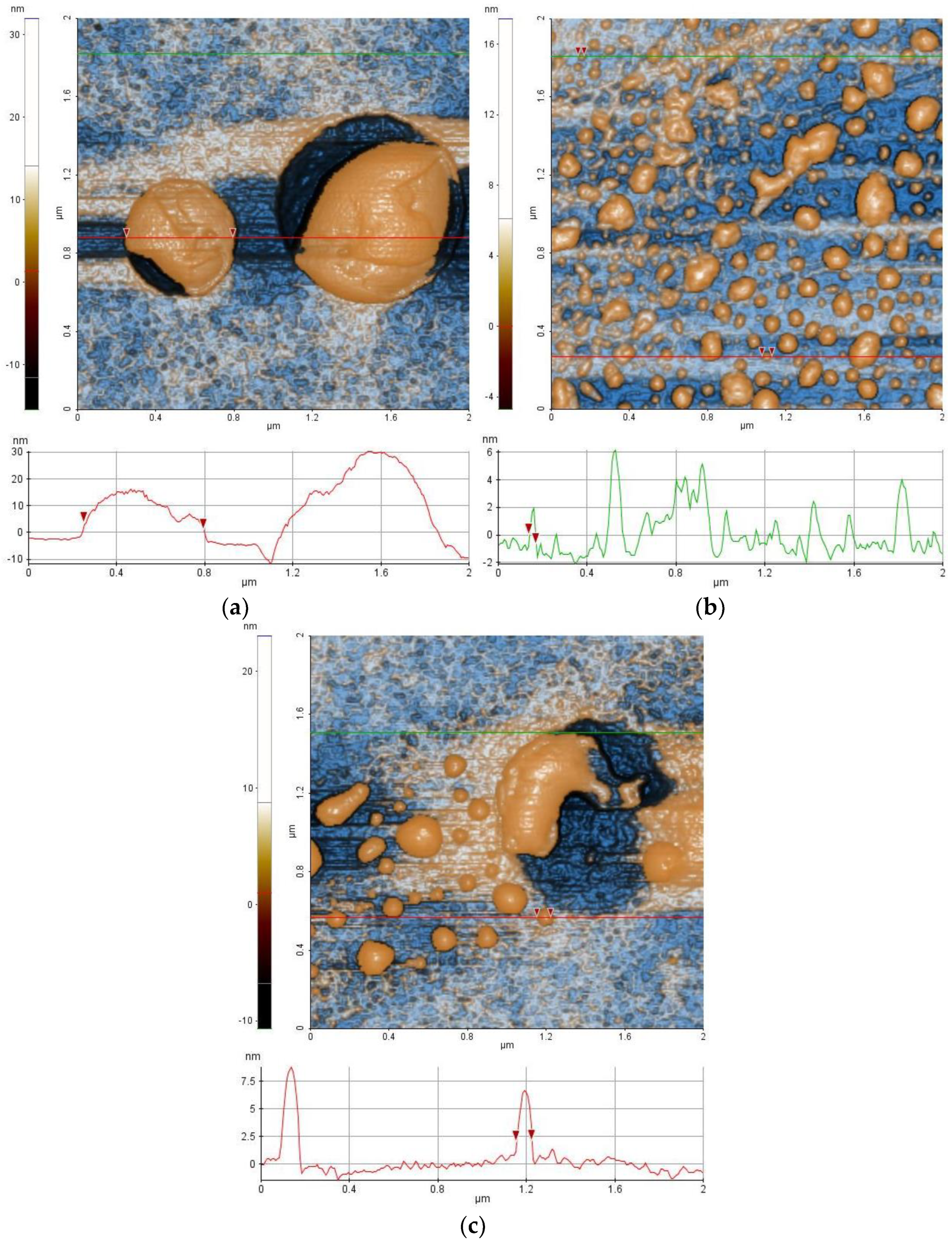 Coatings 13 01193 g007