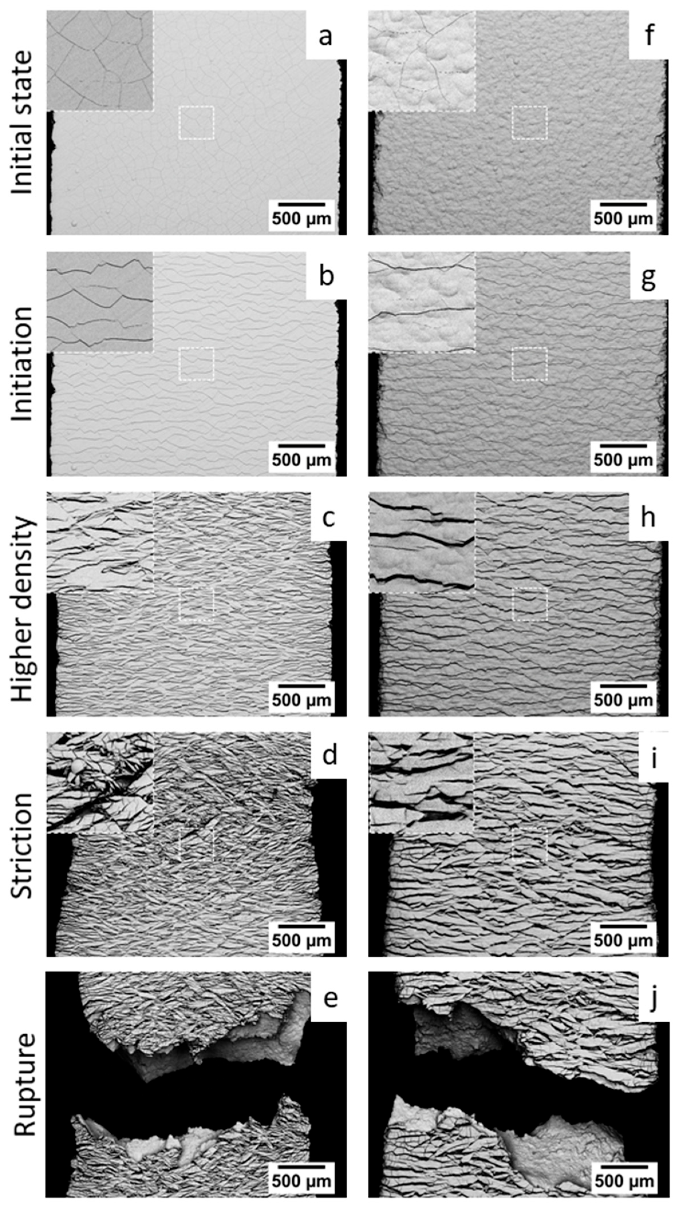 Coatings 13 01194 g005 Coatings 13 01194 g005