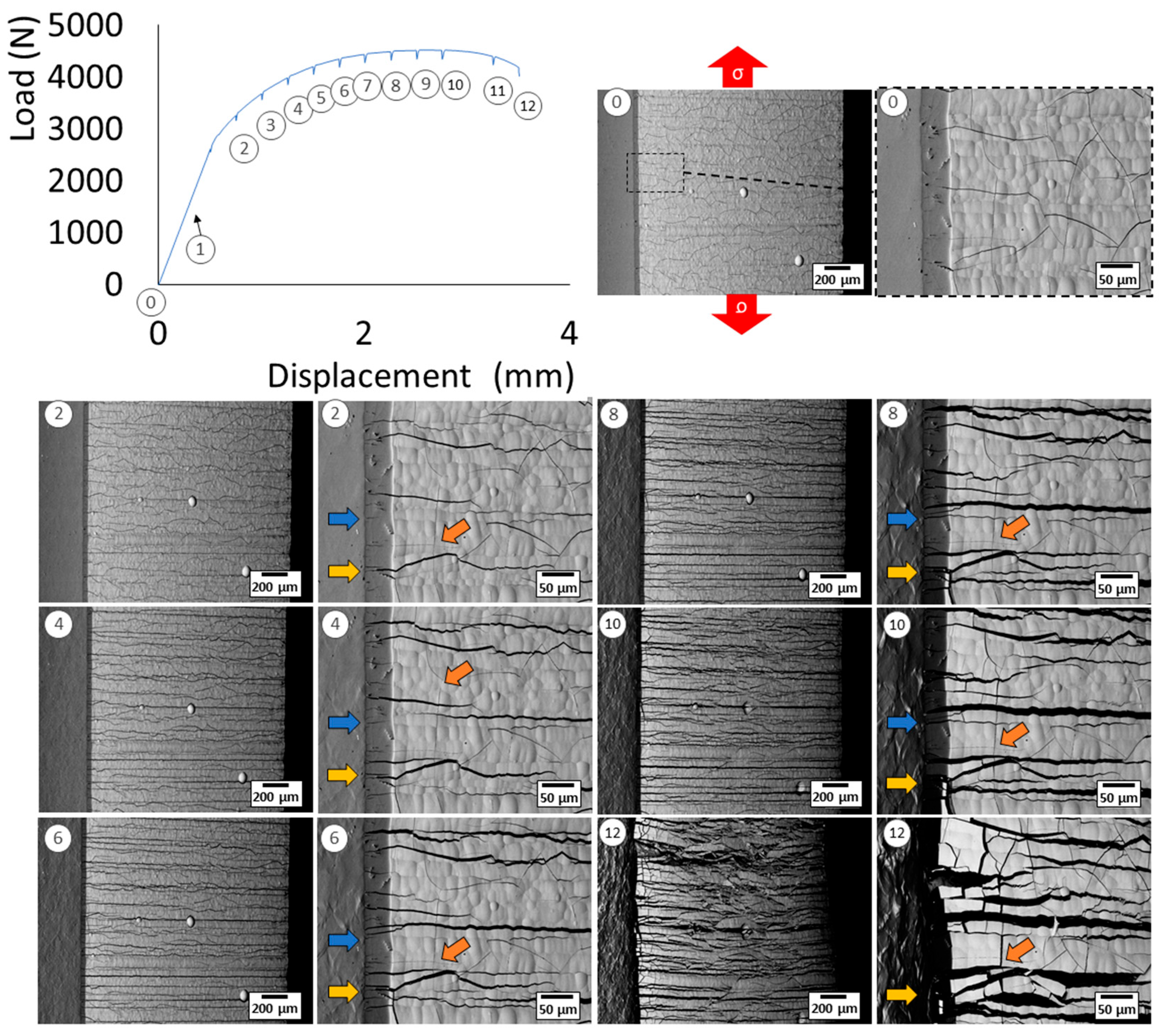 Coatings 13 01194 g009 Coatings 13 01194 g009