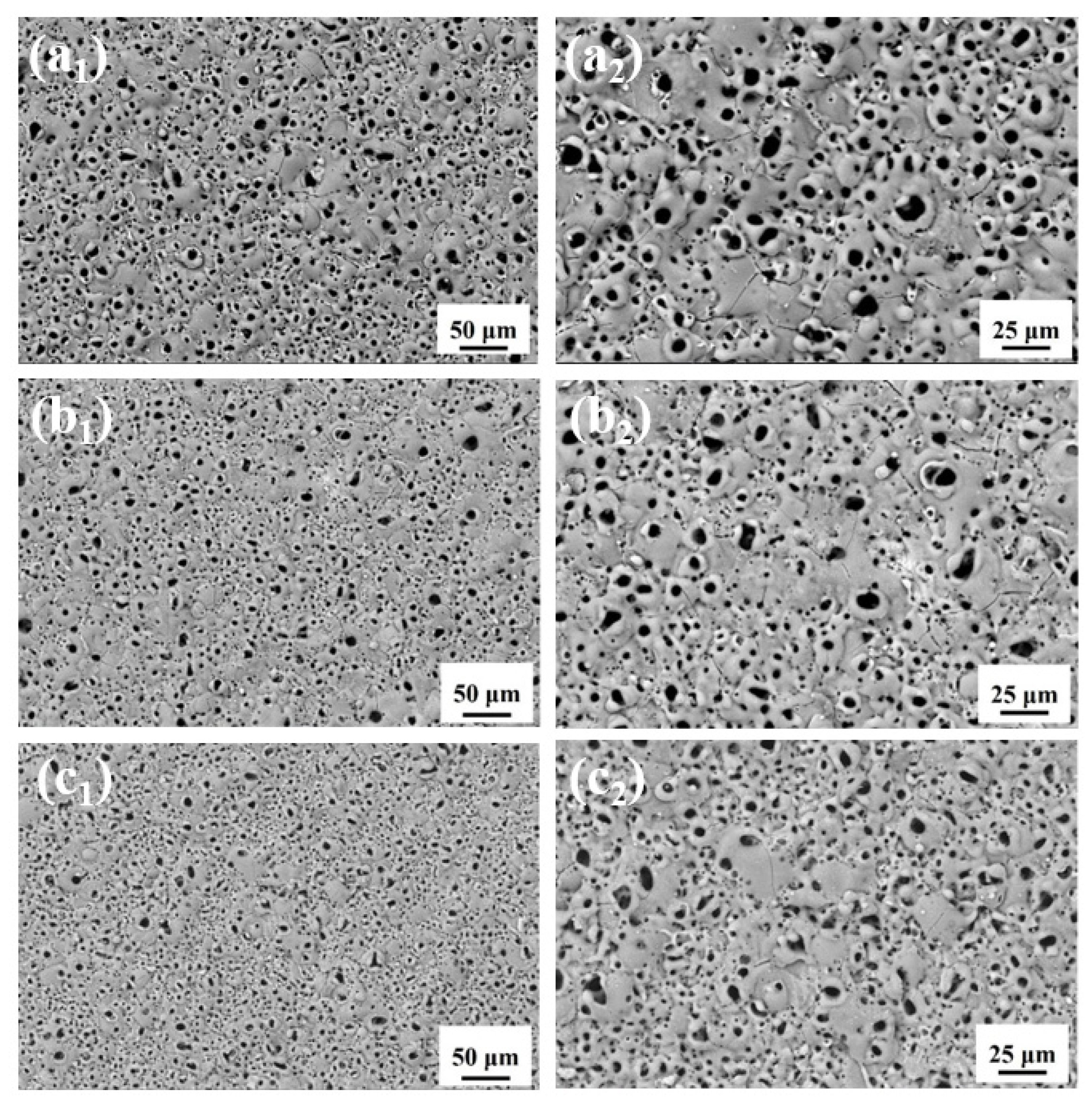 Coatings 13 01196 g003