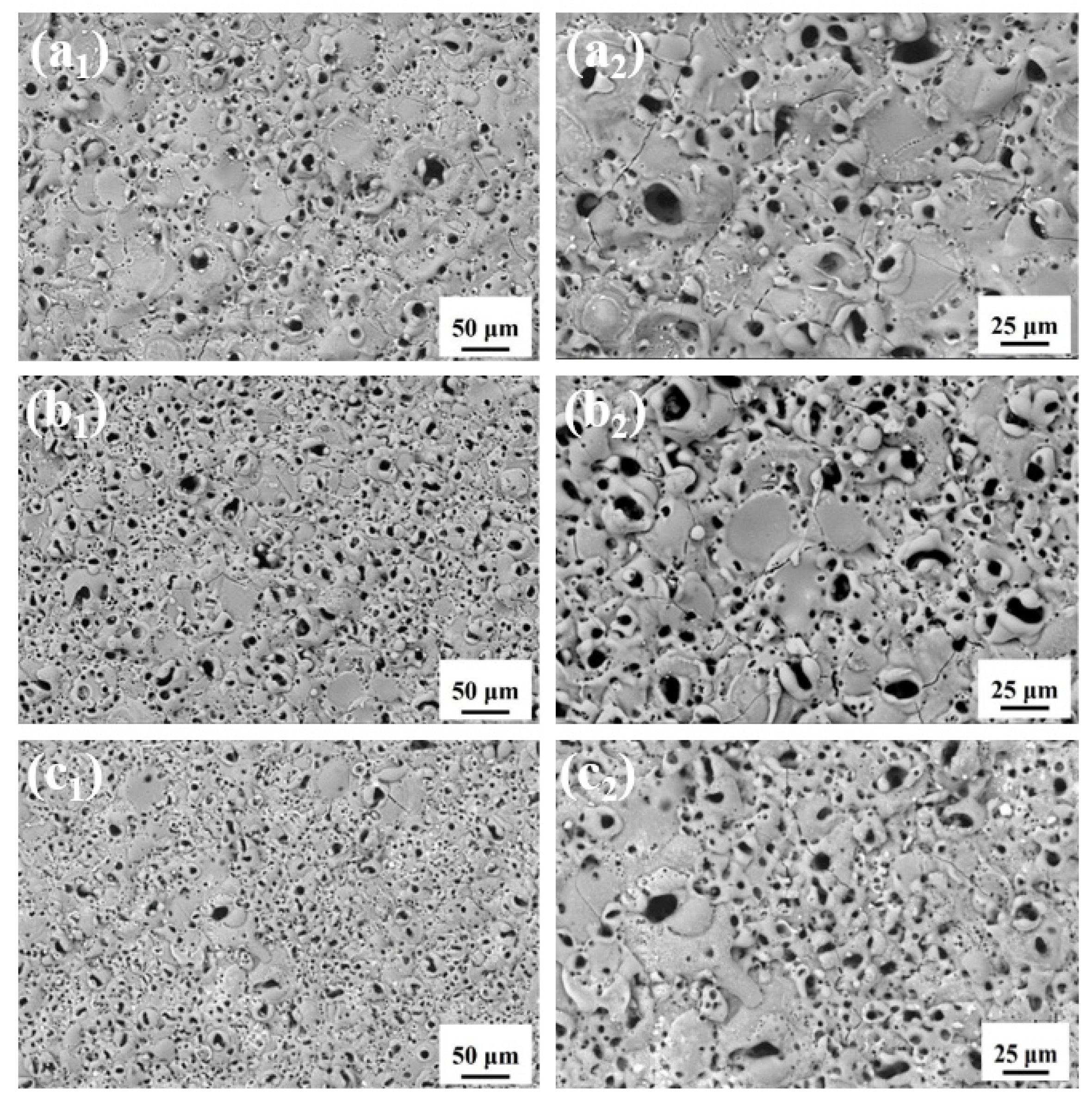 Coatings 13 01196 g004
