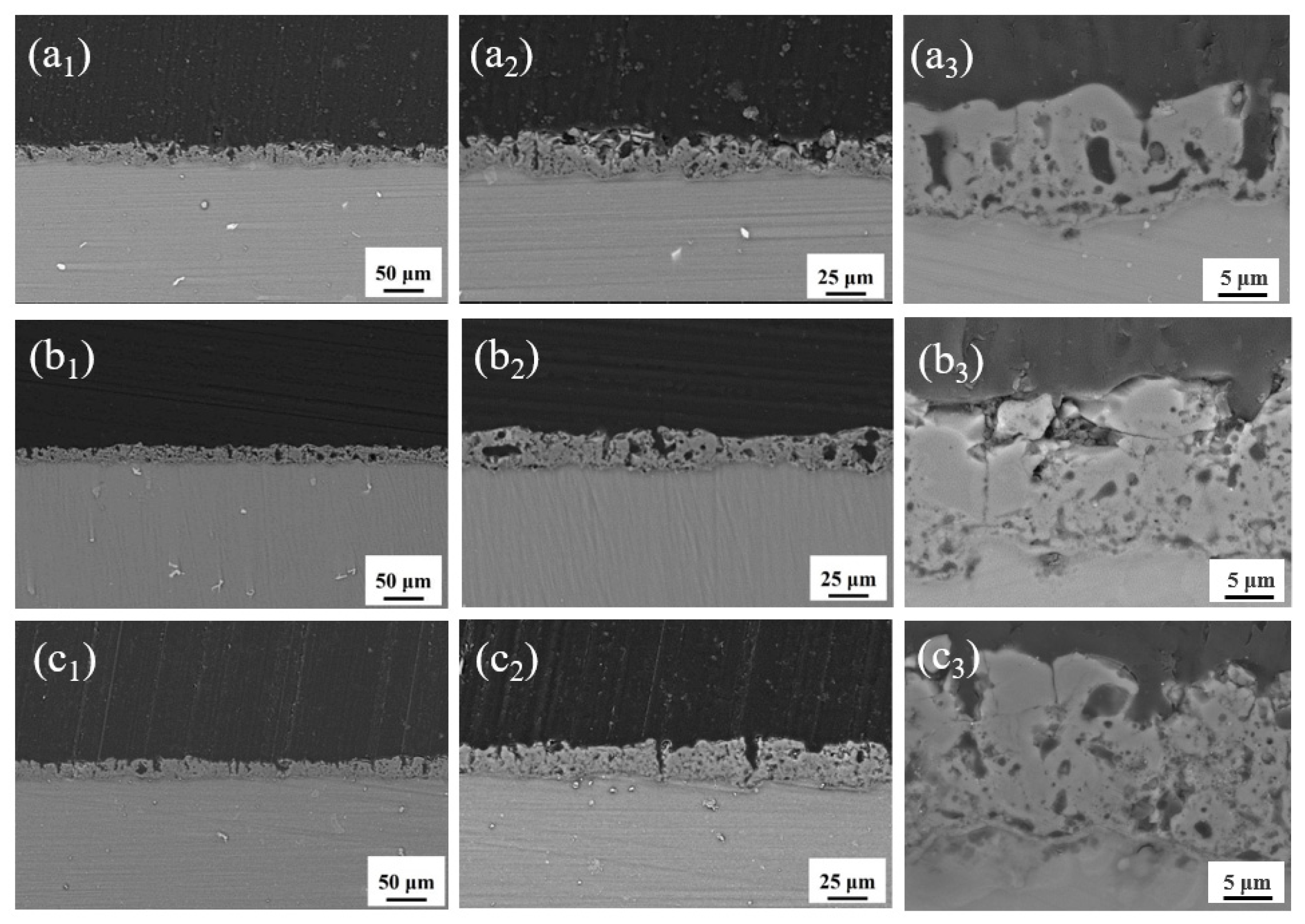 Coatings 13 01196 g005