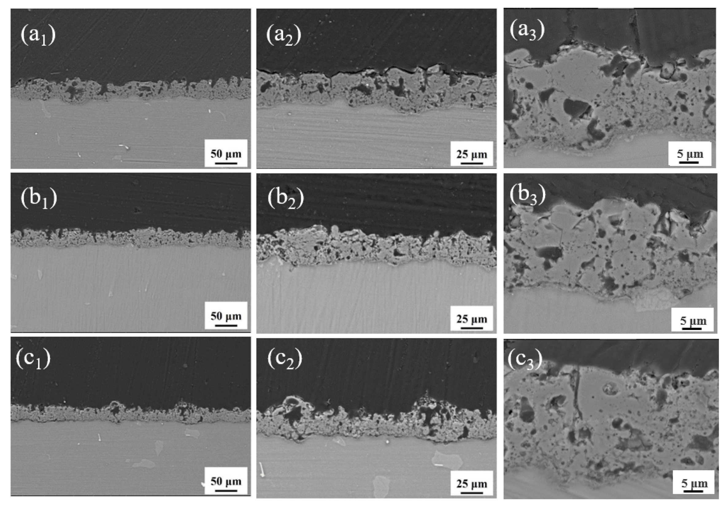 Coatings 13 01196 g006