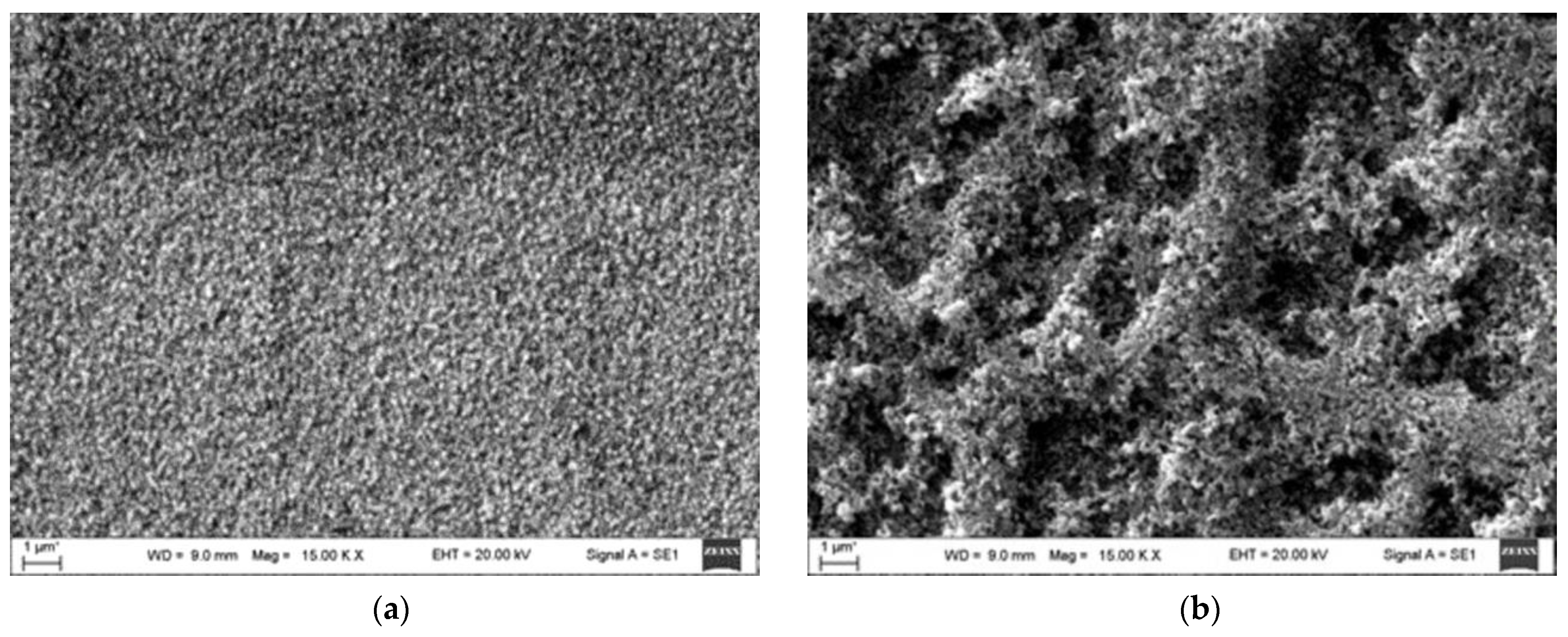 Coatings 13 01197 g004