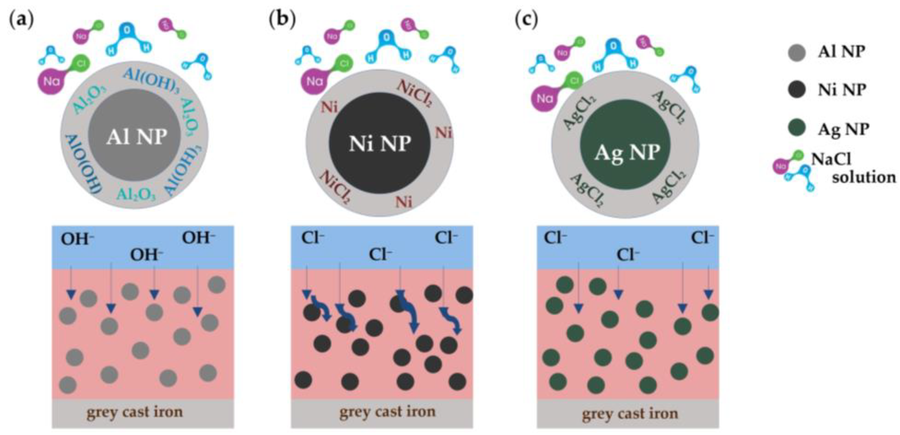Coatings 13 01201 g005