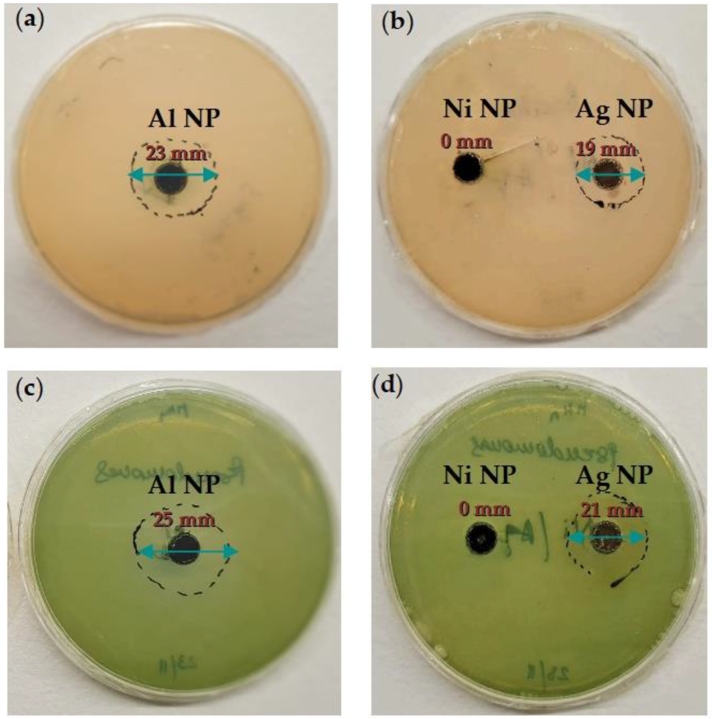 Coatings 13 01201 g006