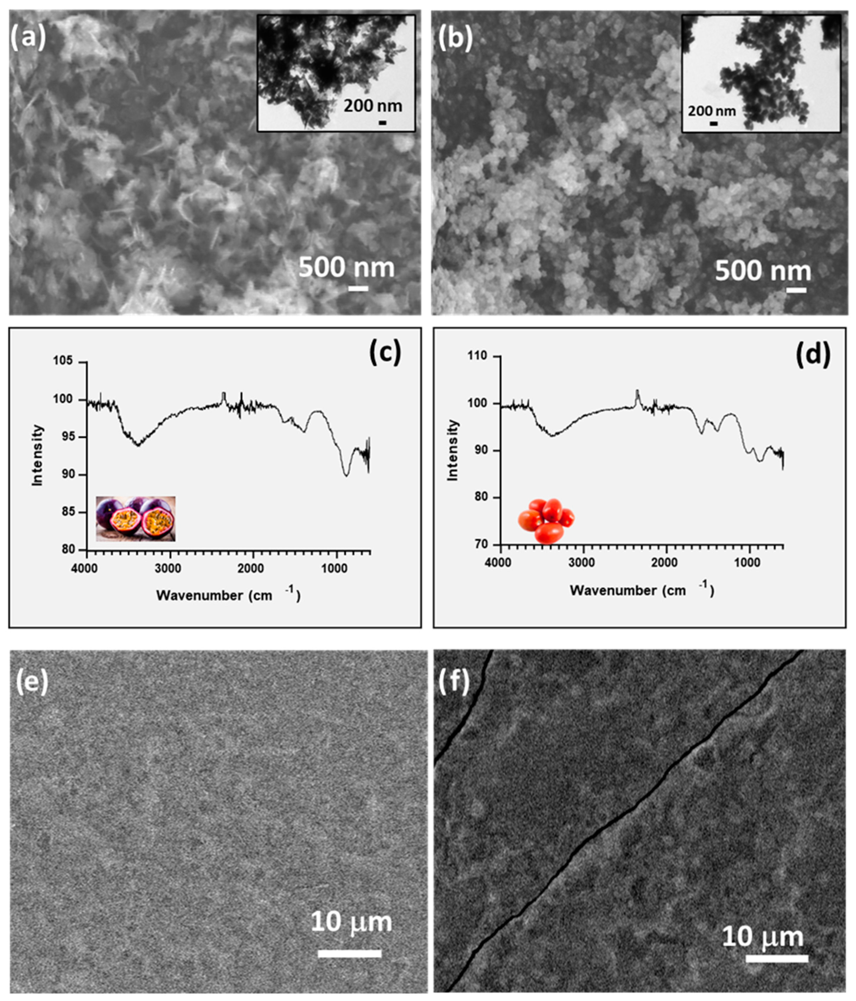 Coatings 13 01208 g001 Coatings 13 01208 g001