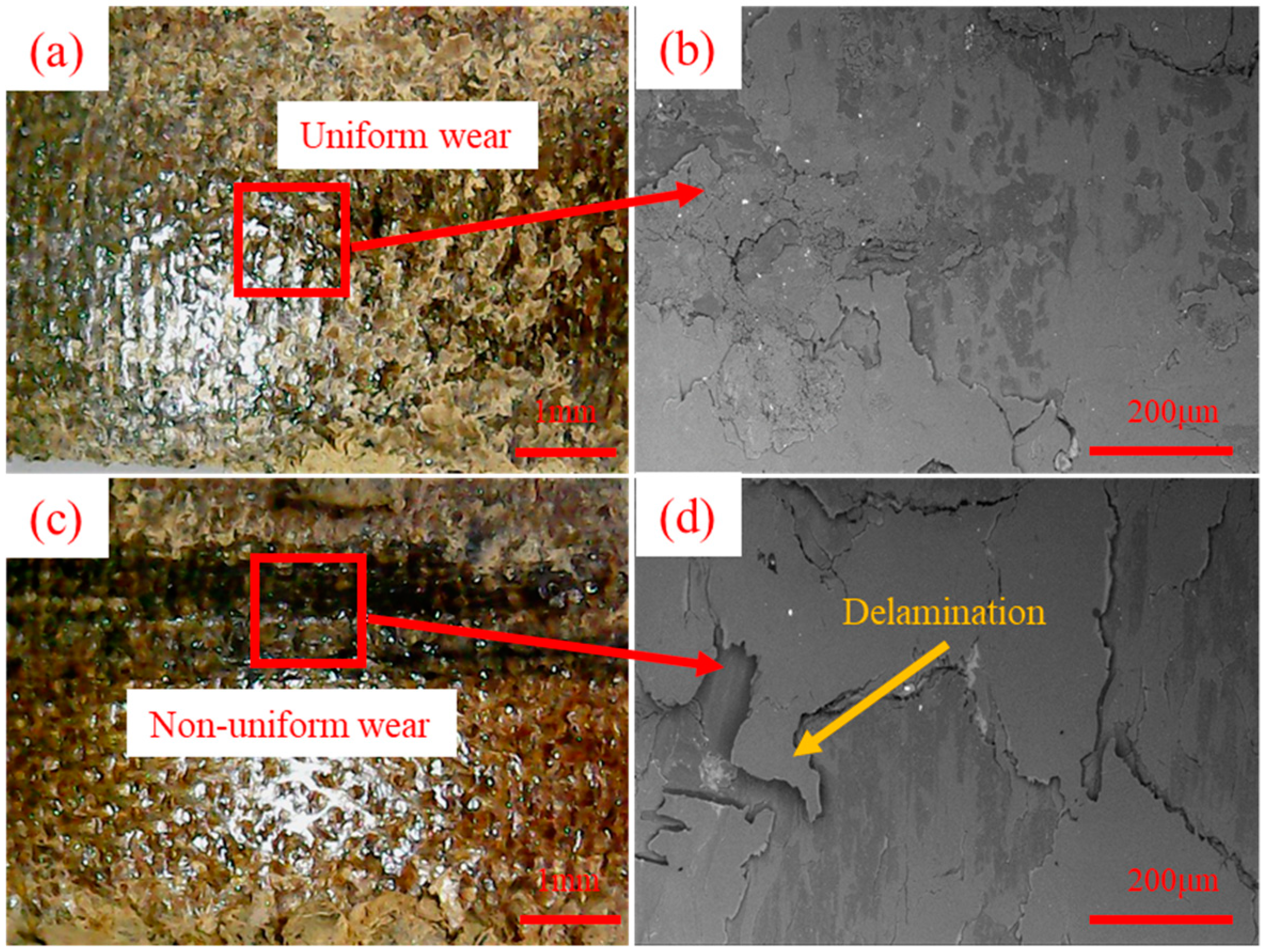 Coatings 13 01209 g012