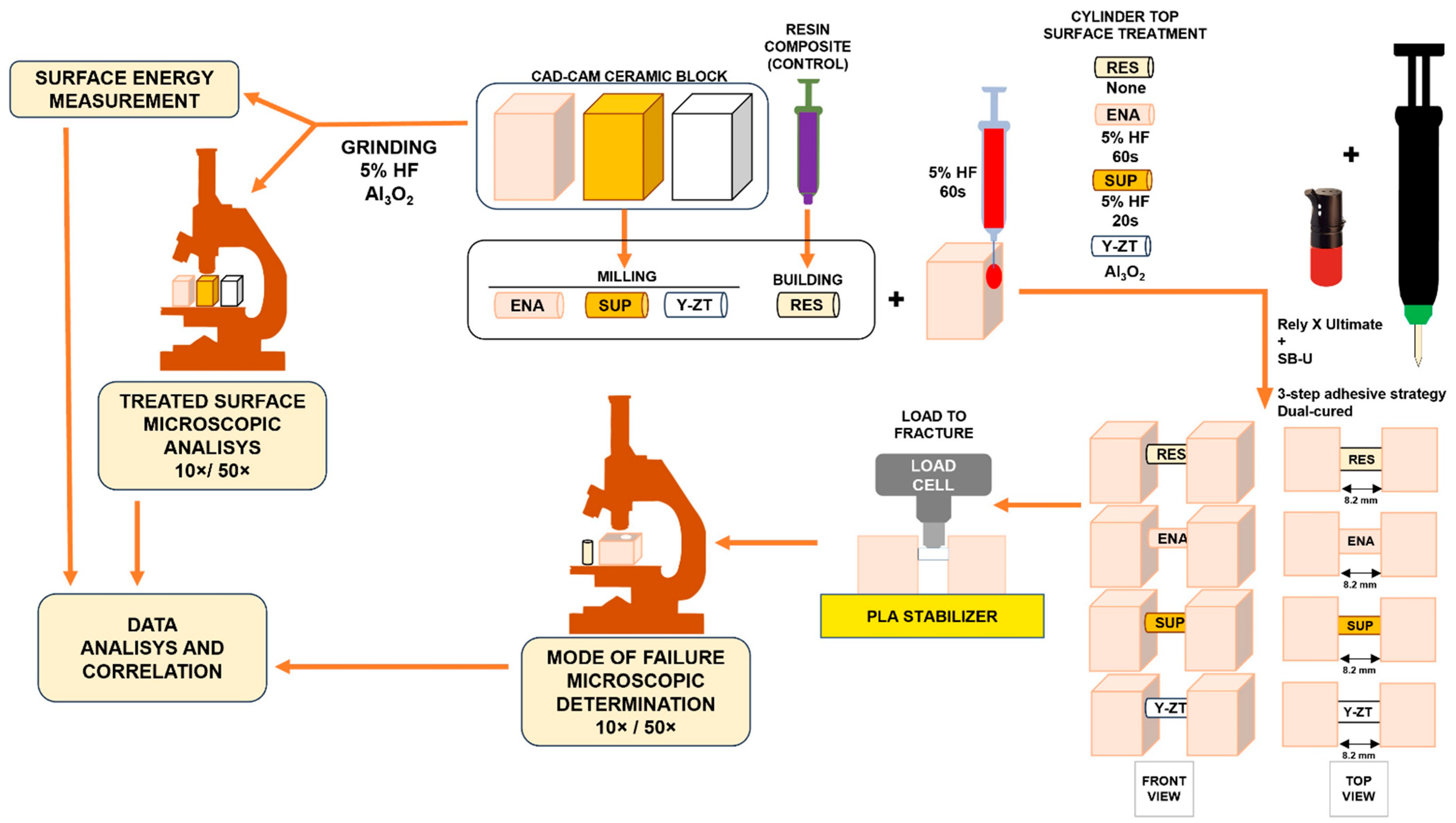 A Polymer-Infiltrated Ceramic as Base Adherent in an Experimental 