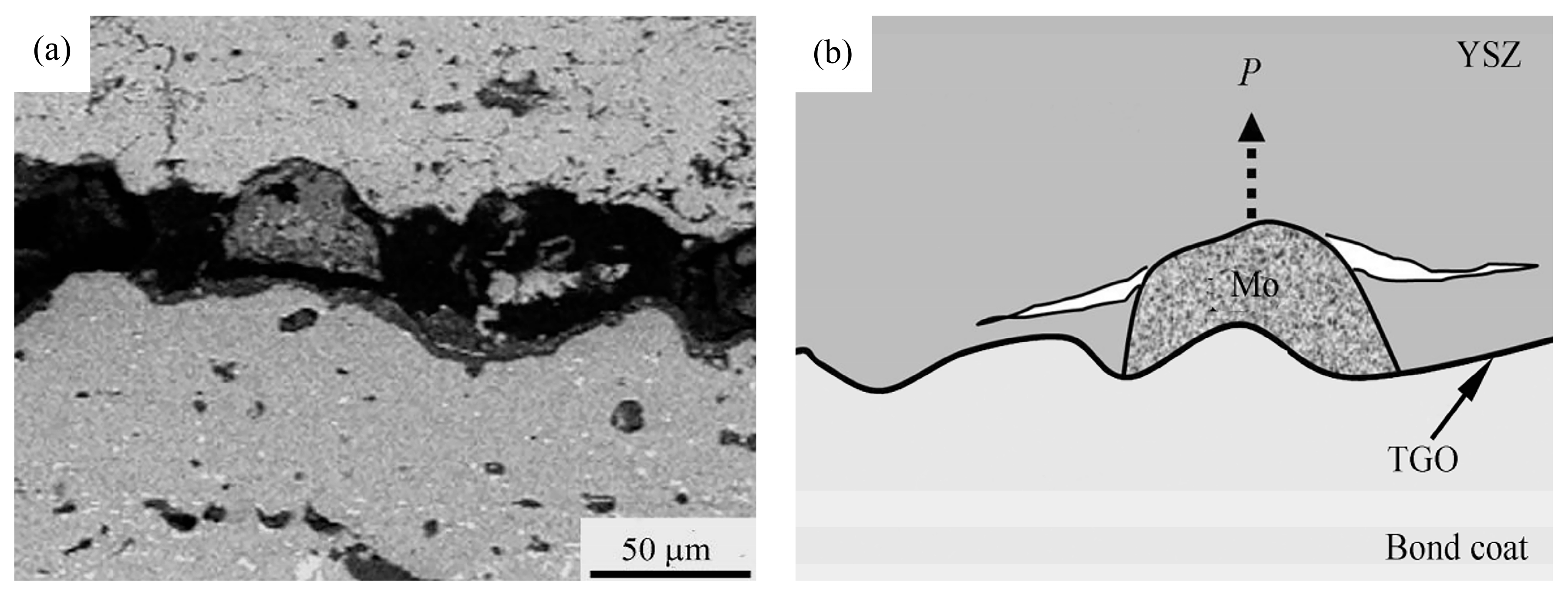 Coatings 13 01222 g002