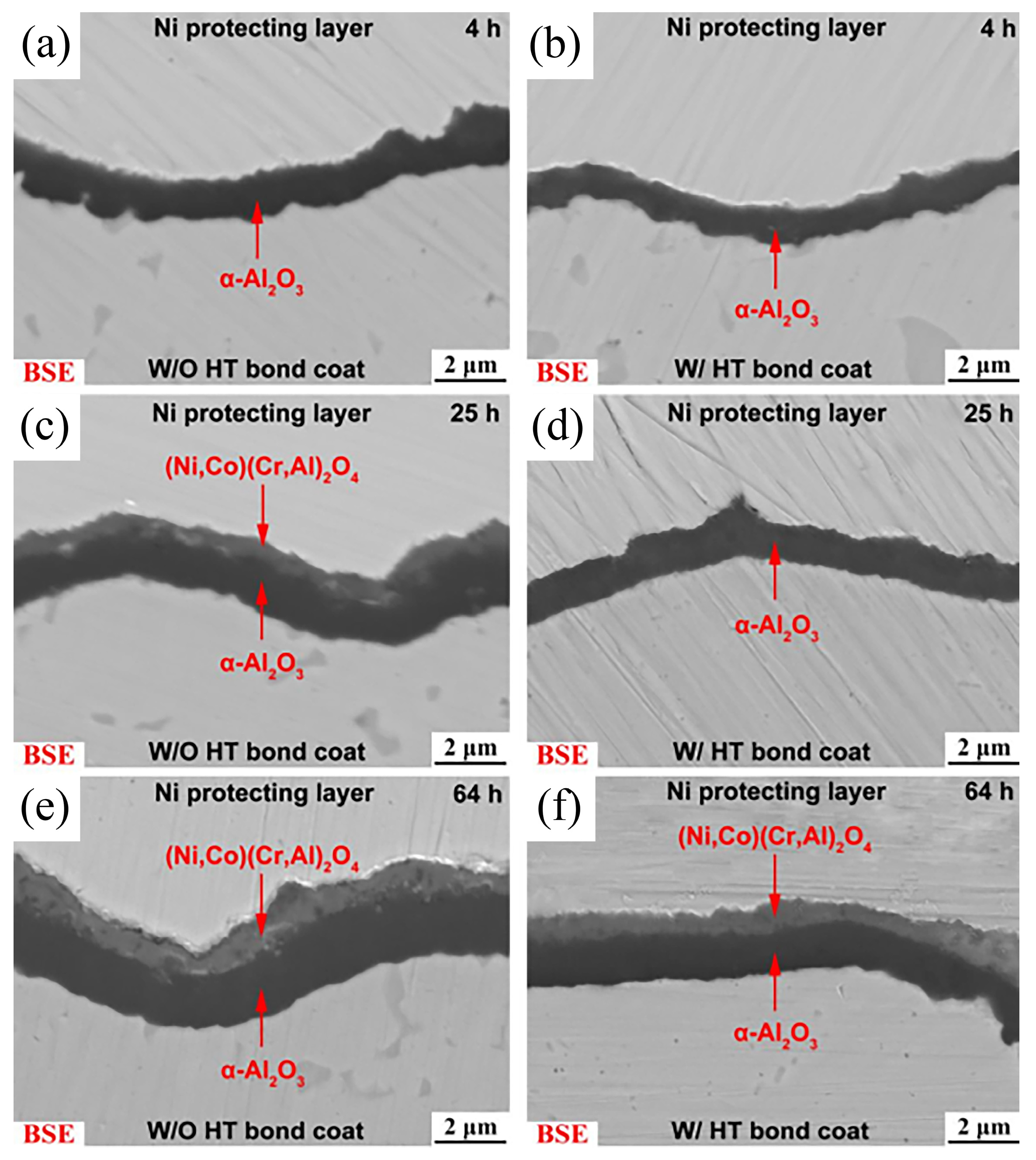 Coatings 13 01222 g007