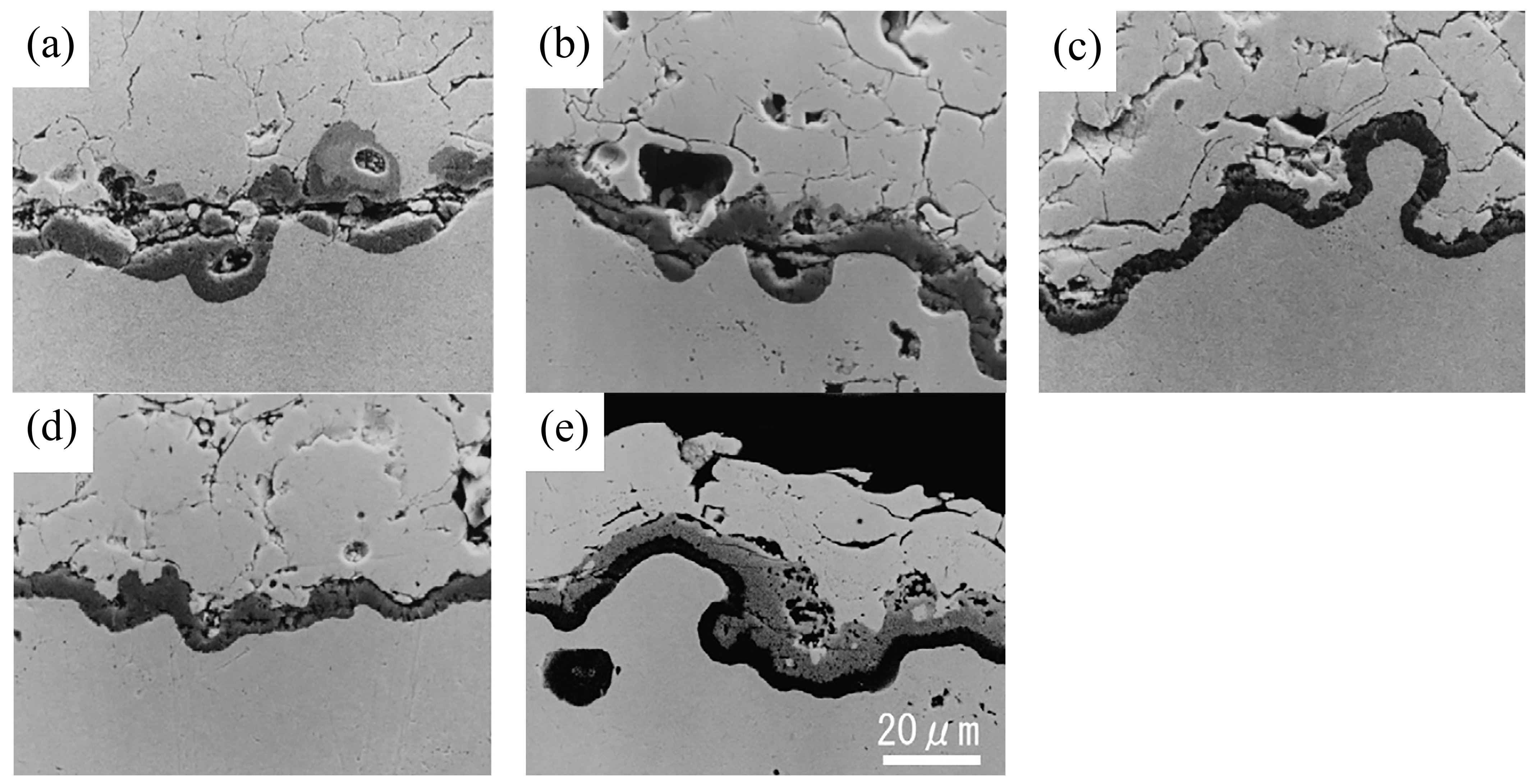 Coatings 13 01222 g013