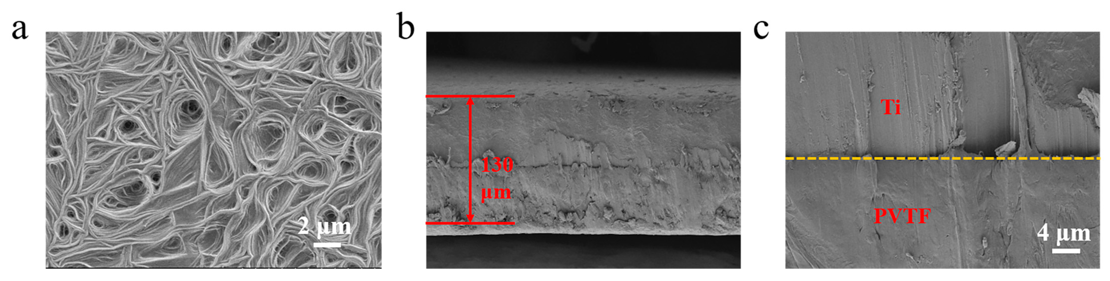 Coatings 13 01224 g002