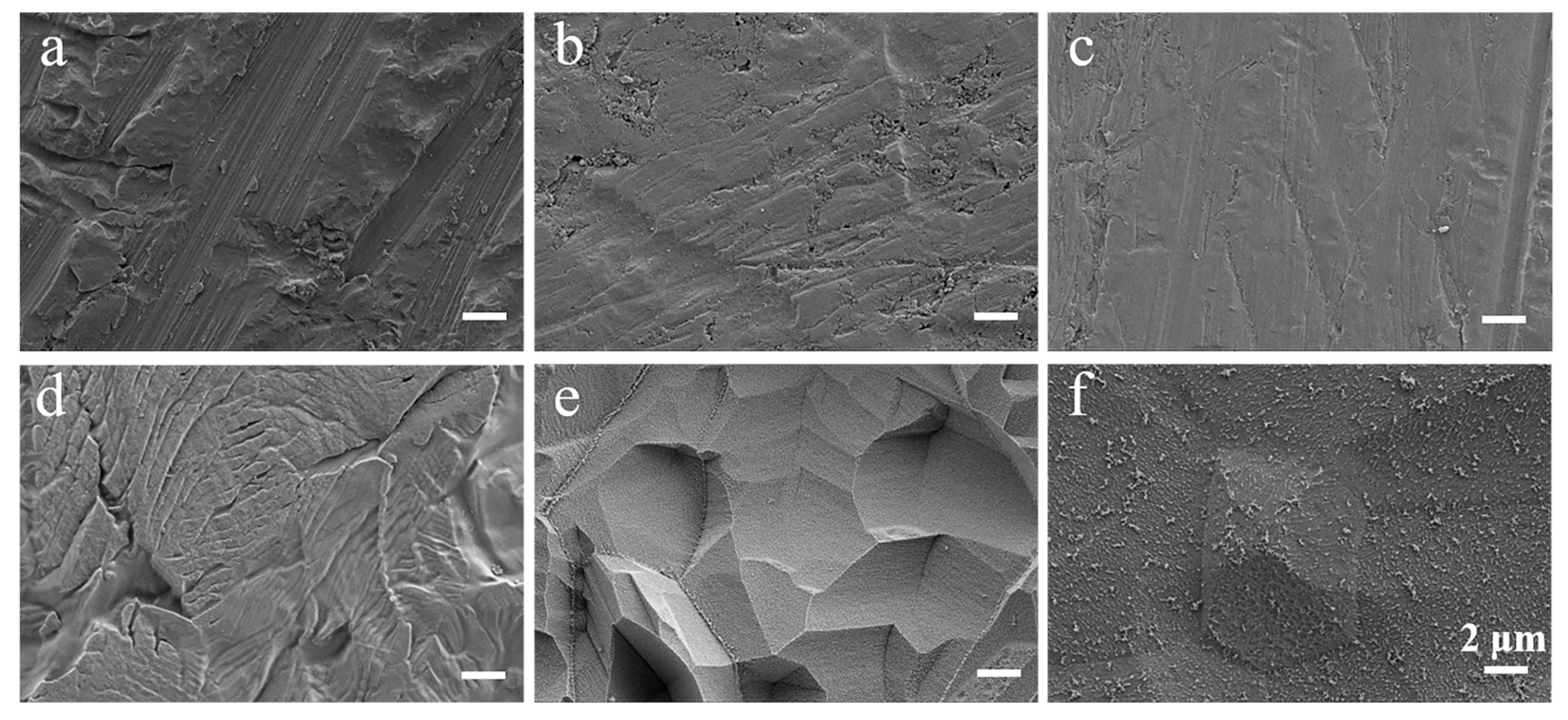 Coatings 13 01224 g004