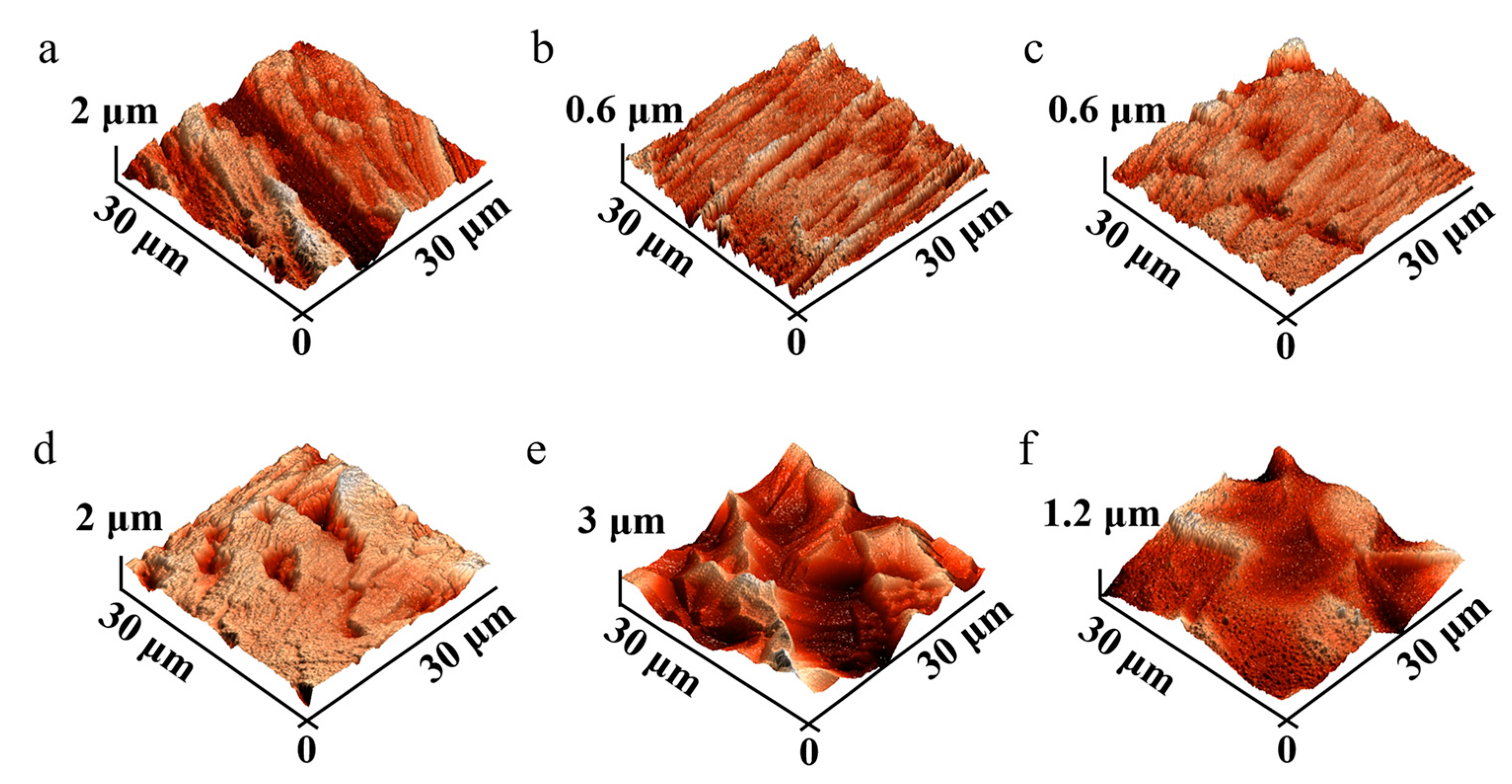 Coatings 13 01224 g005