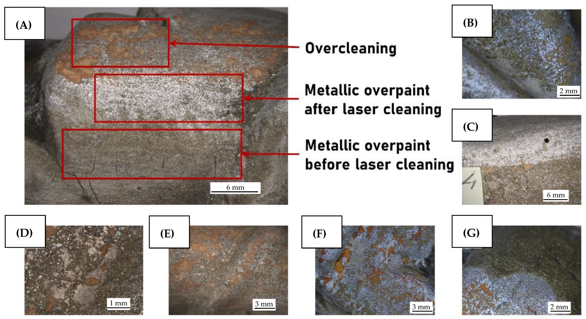 Coatings 13 01235 g006