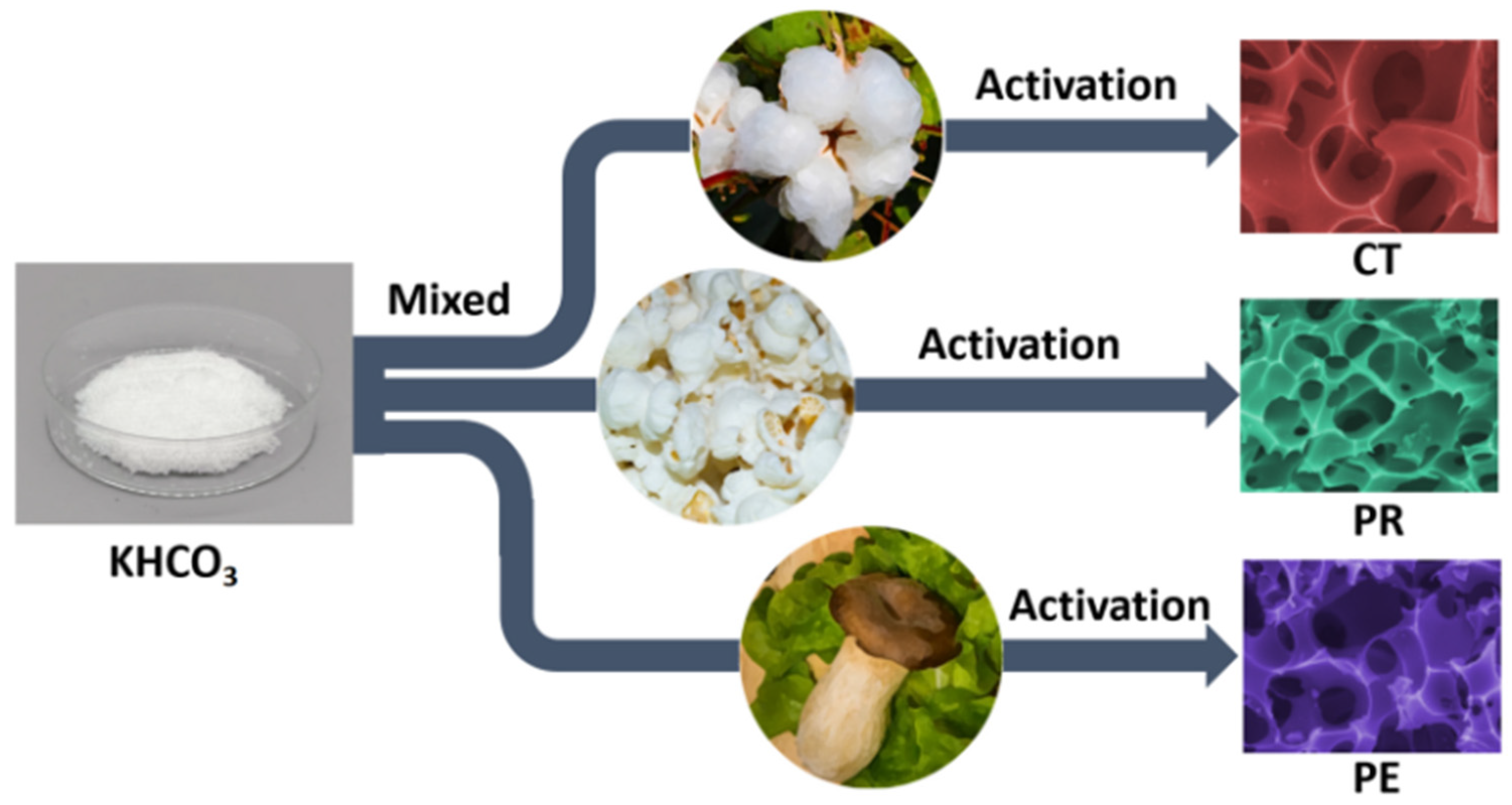 Coatings 13 01236 g001
