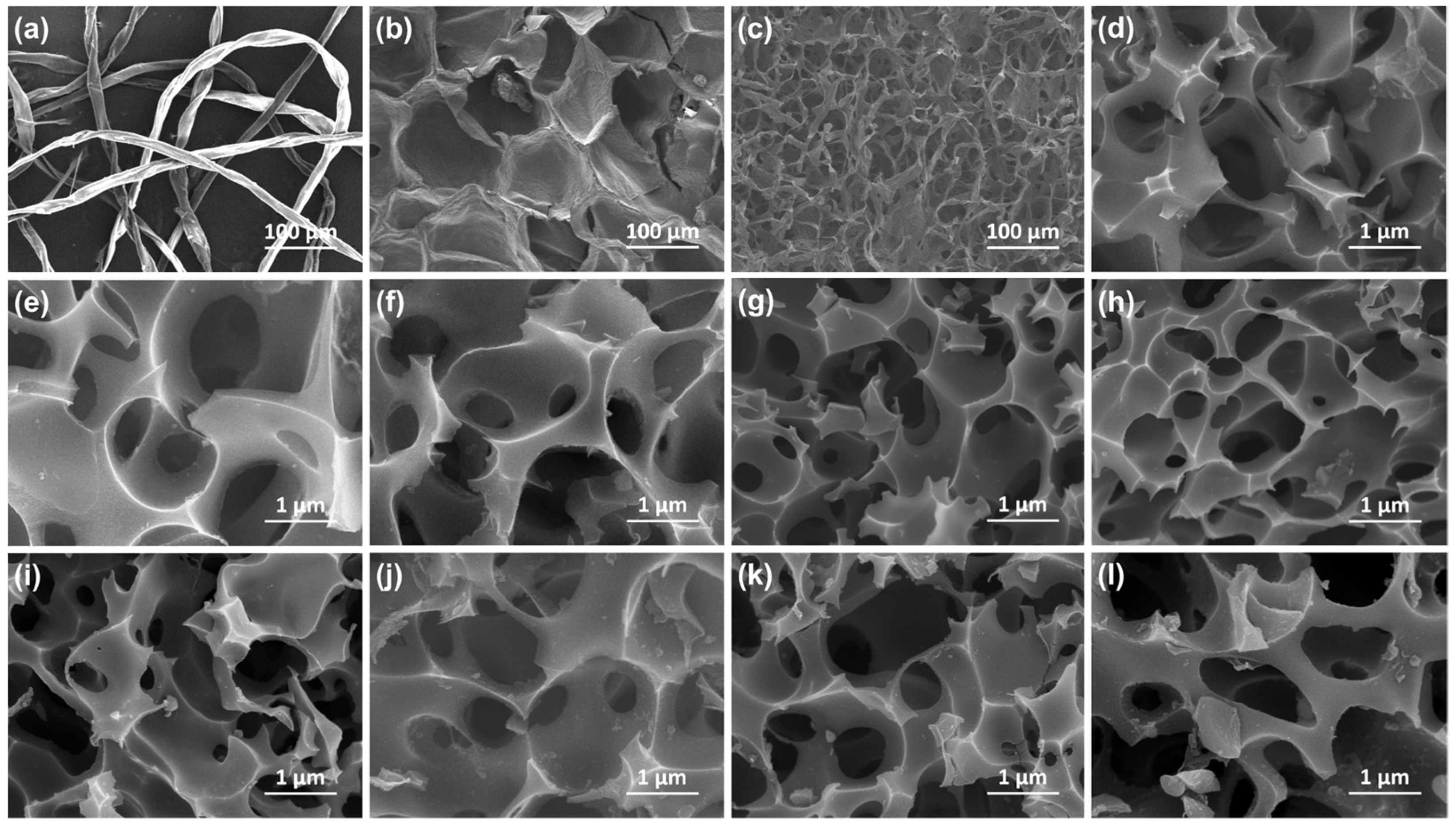 Coatings 13 01236 g002