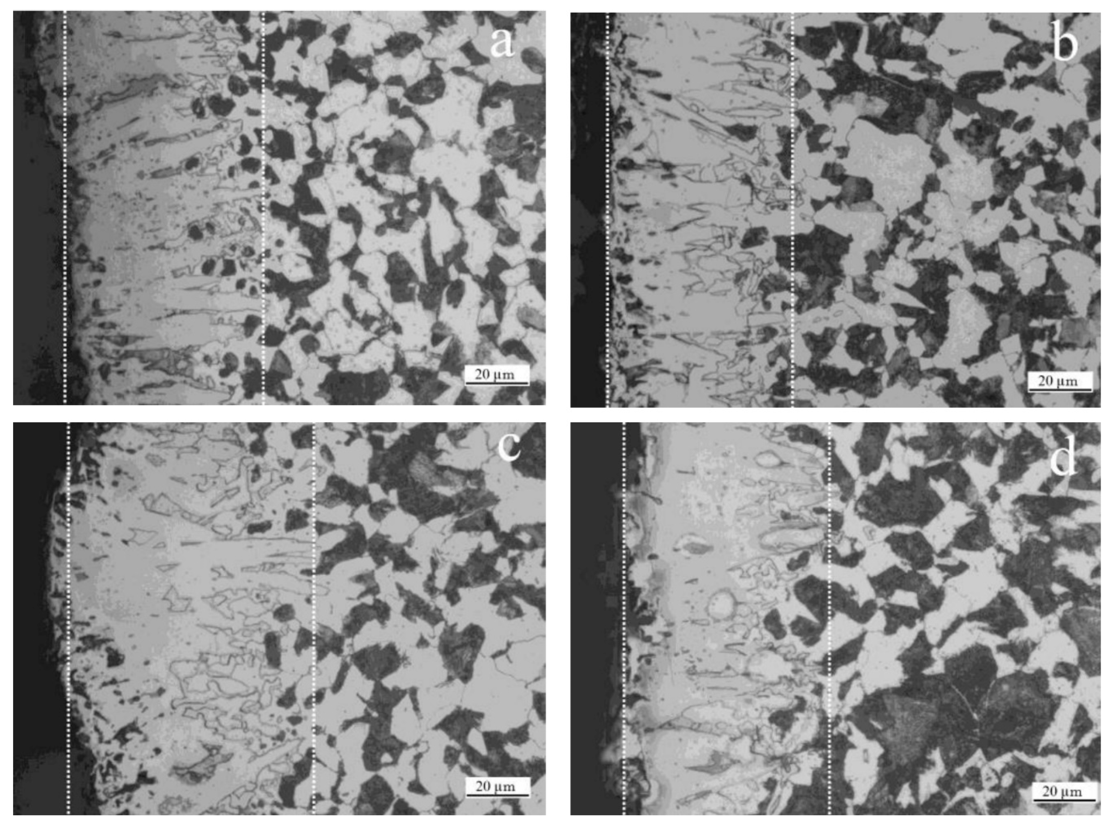 Coatings 13 01242 g005