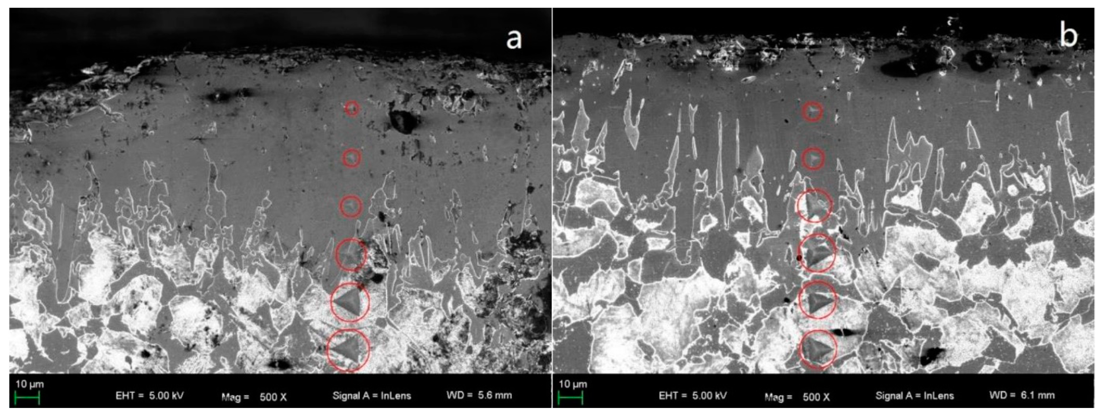 Coatings 13 01242 g008