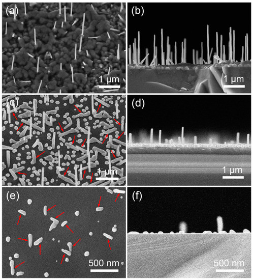 Lamellar Nanoporous Intermetallic Cobalt-Titanium Multisite