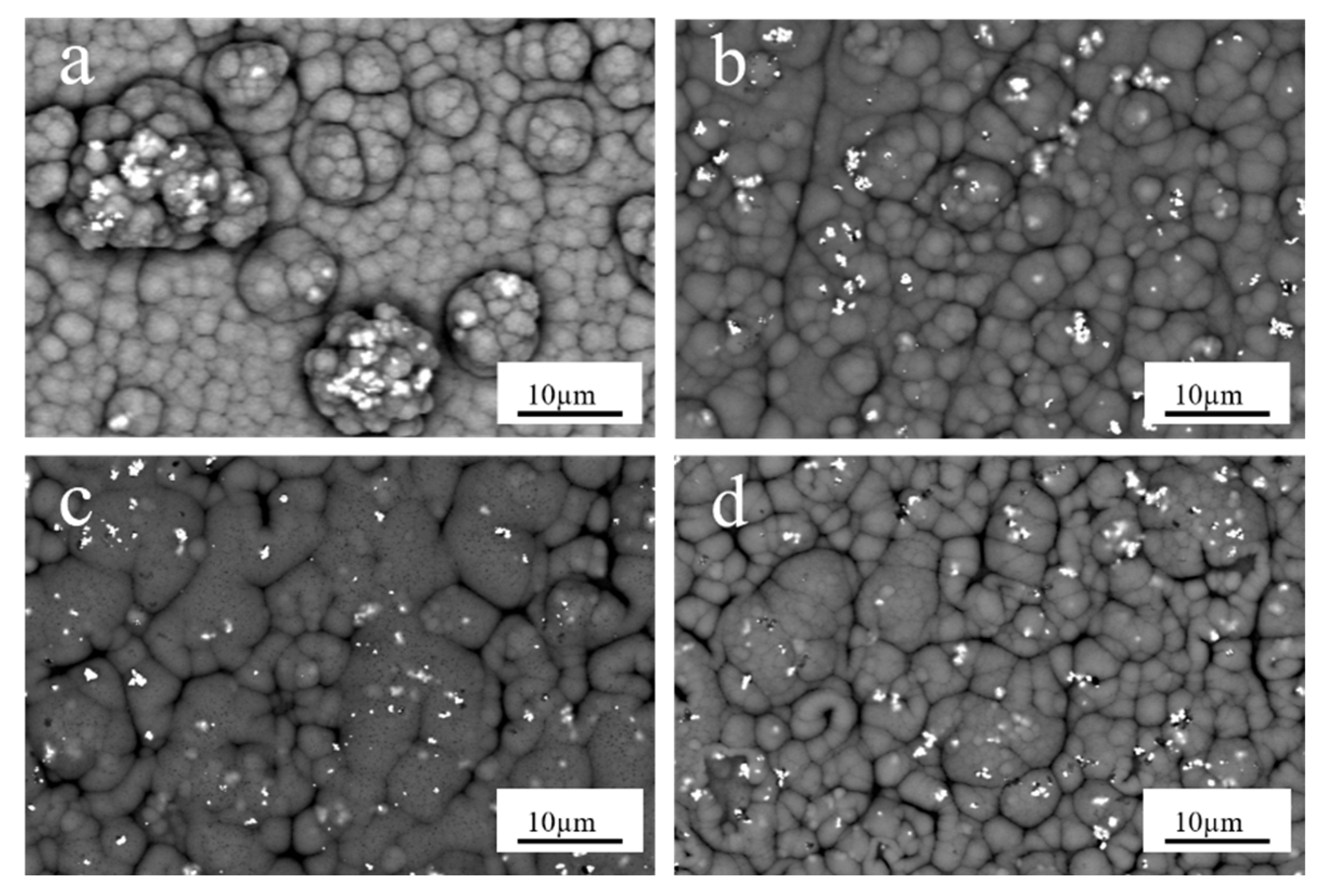 Coatings 13 01246 g005 Coatings 13 01246 g005