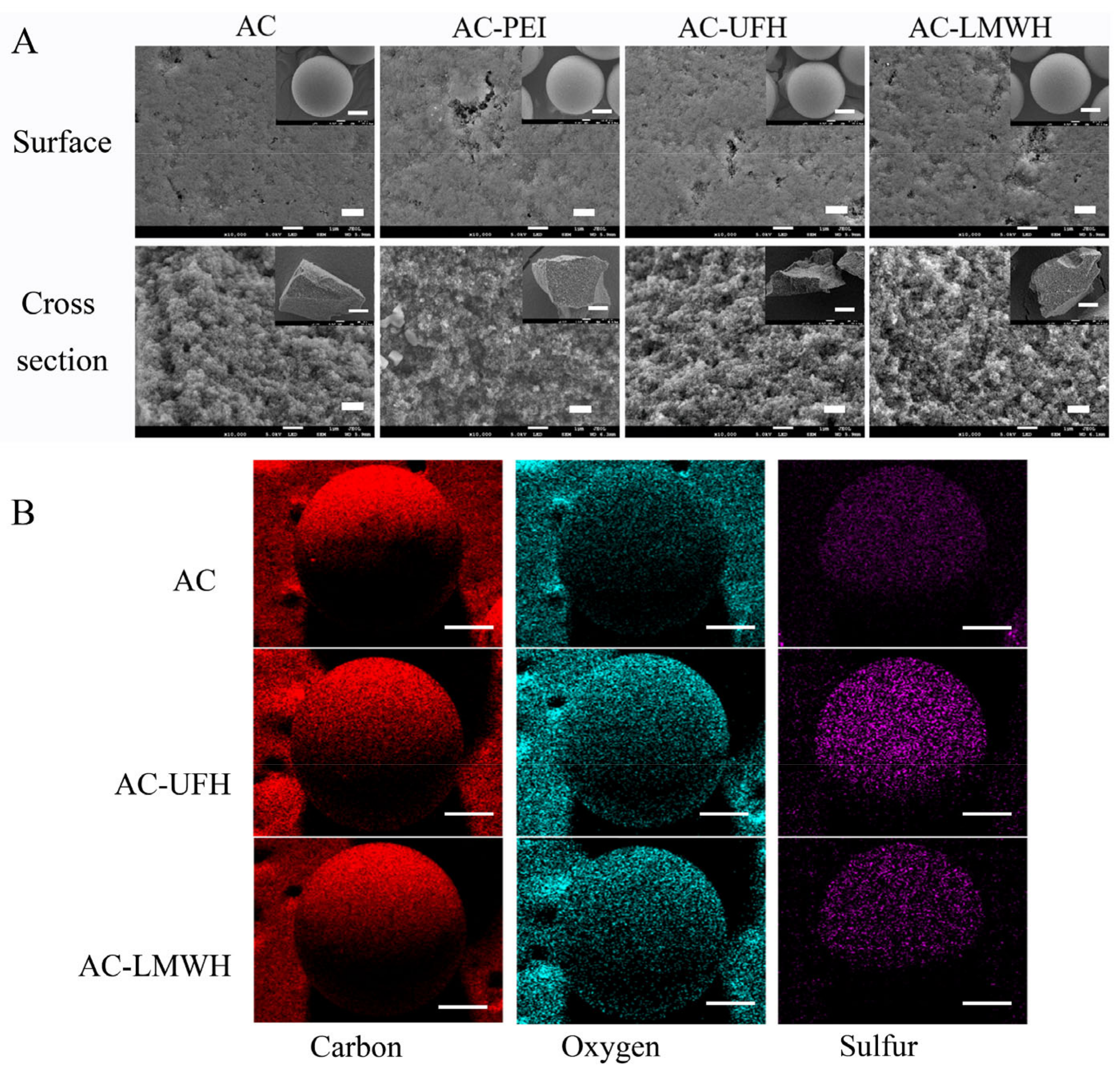 Coatings 13 01248 g002 Coatings 13 01248 g002