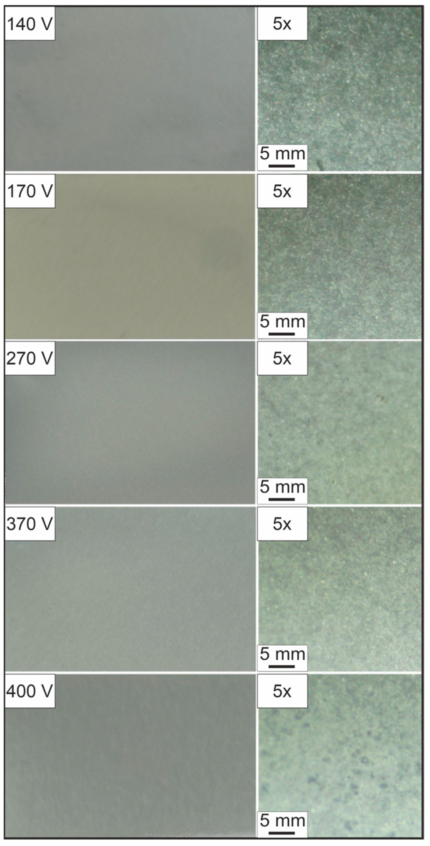 Coatings 13 01249 g003 Coatings 13 01249 g003