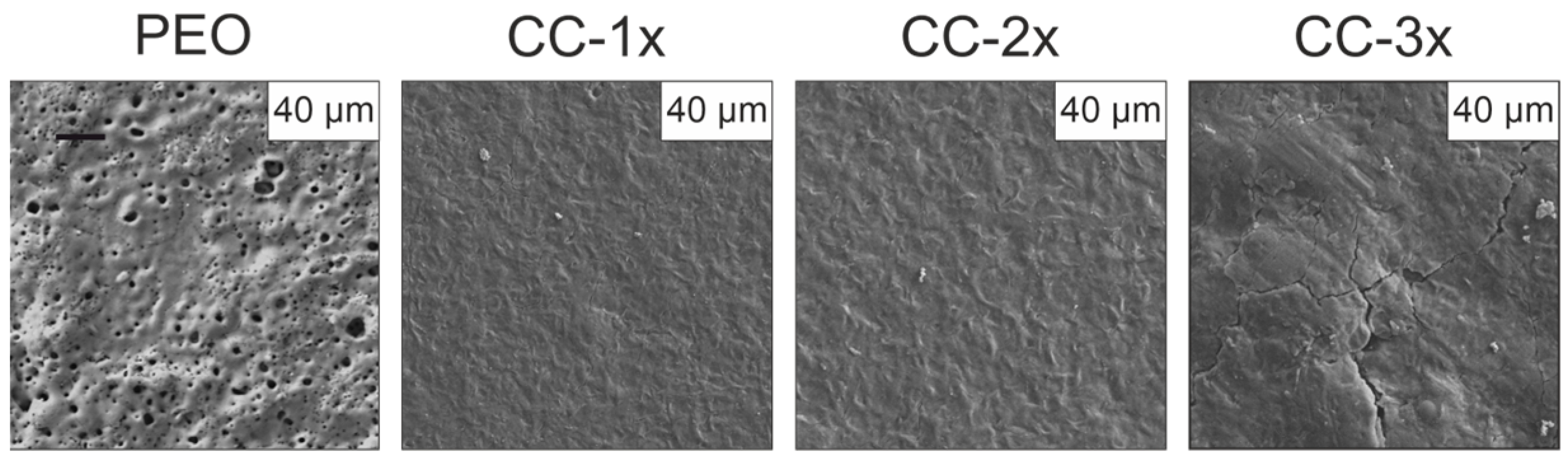 Coatings 13 01249 g006 Coatings 13 01249 g006