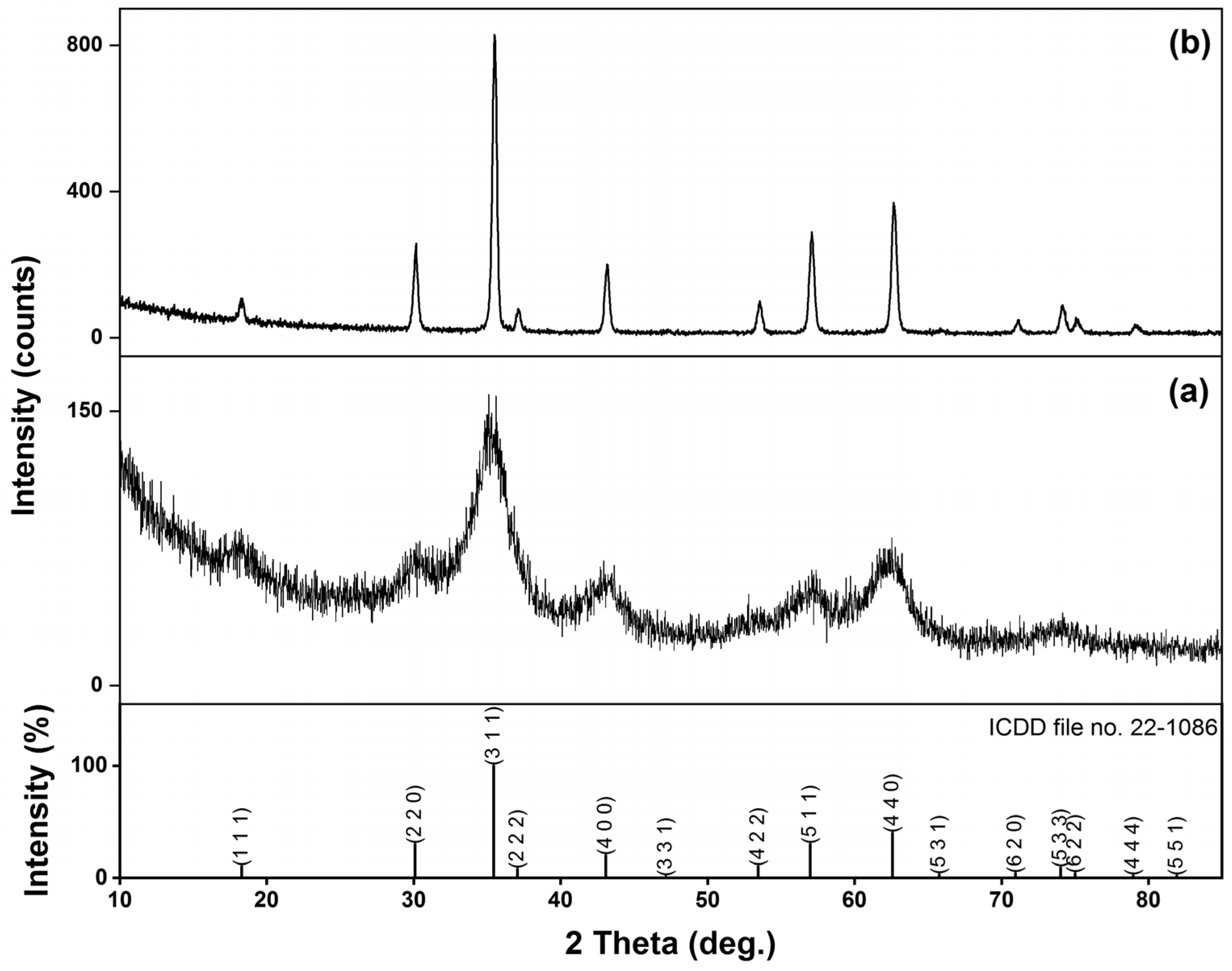 Coatings 13 01250 g001