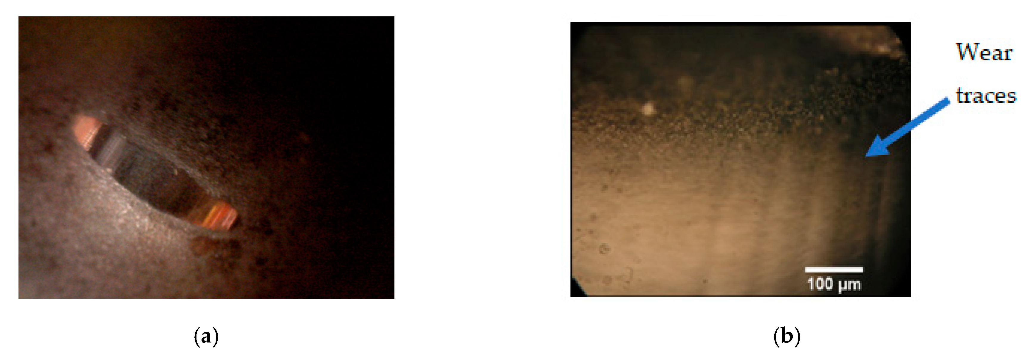 Coatings 13 01251 g019