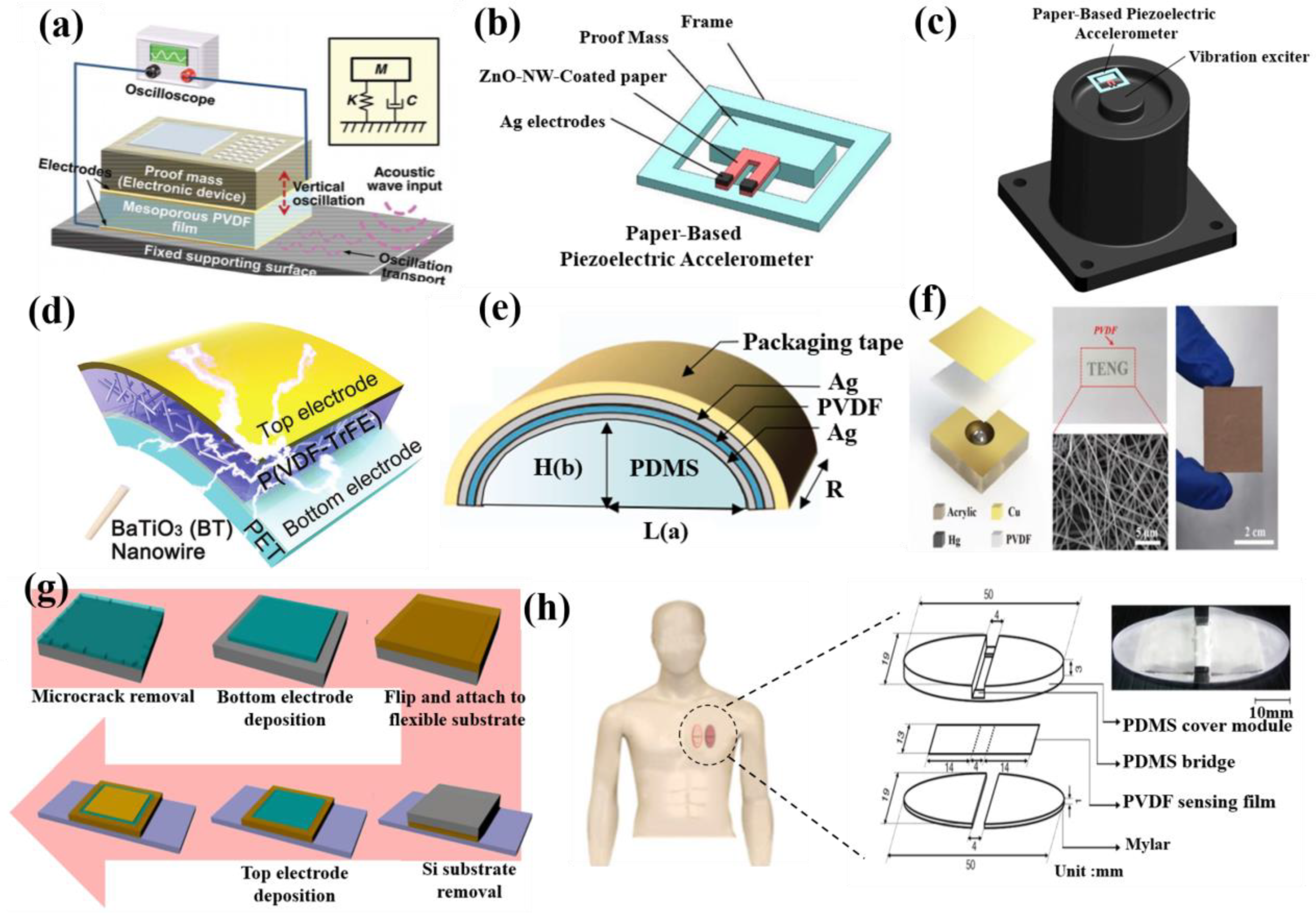 Coatings 13 01252 g006