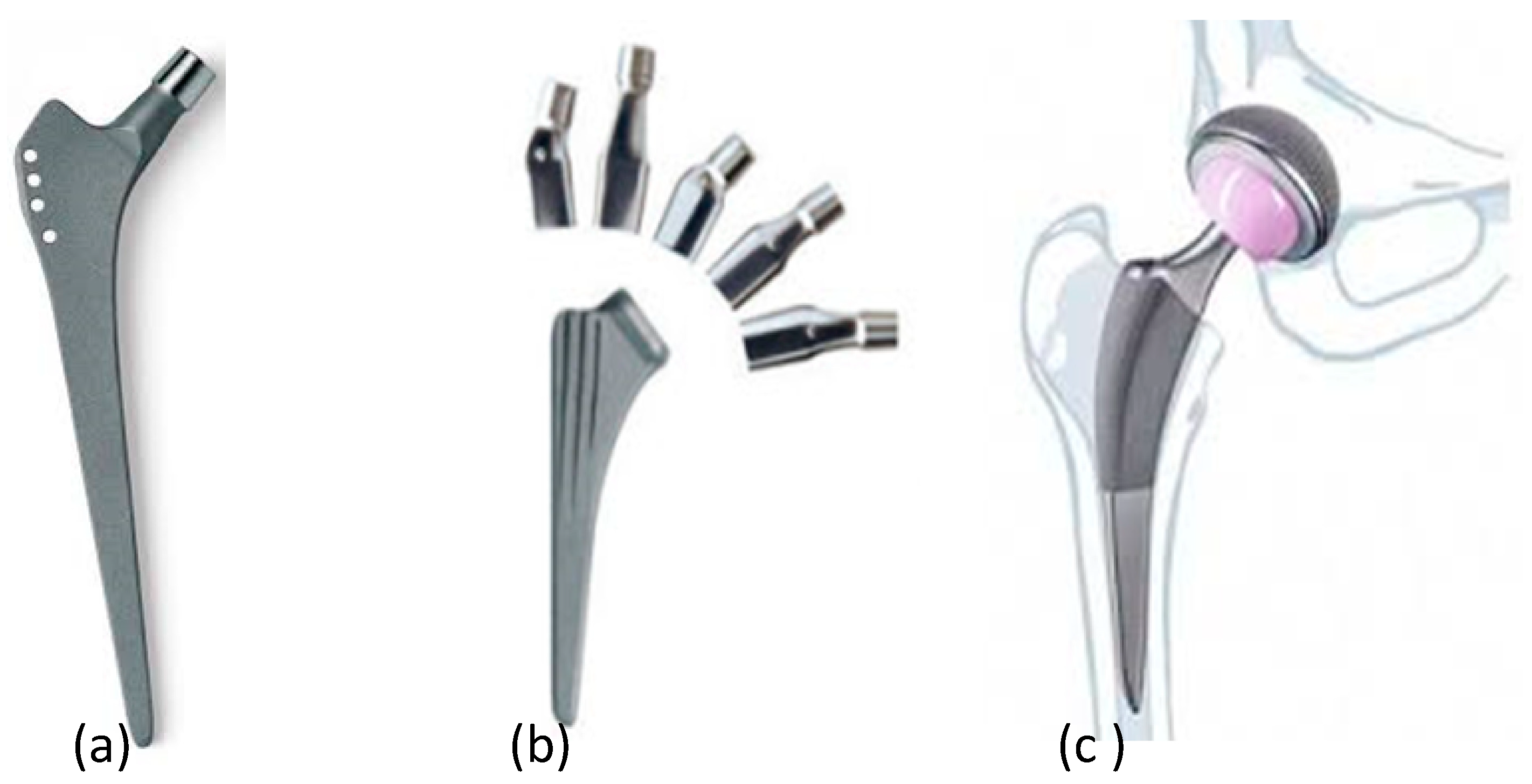 Coatings 13 01255 g001 Coatings 13 01255 g001