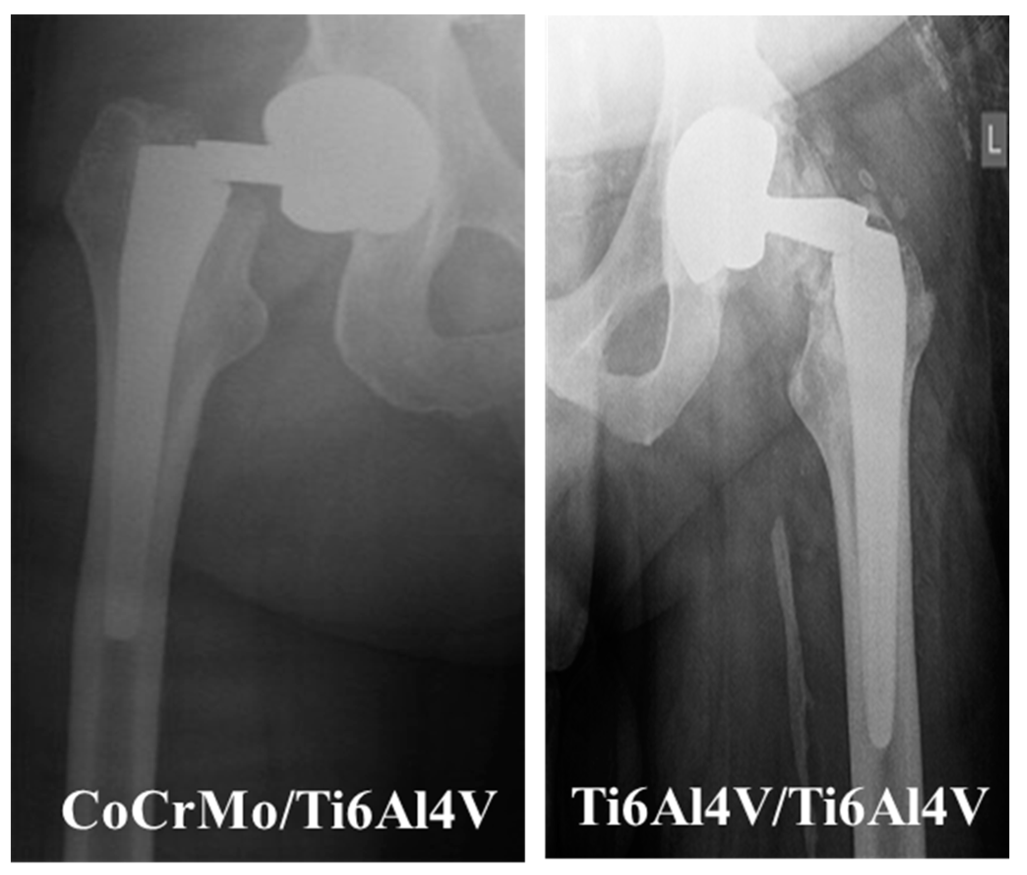 Coatings 13 01255 g002 Coatings 13 01255 g002