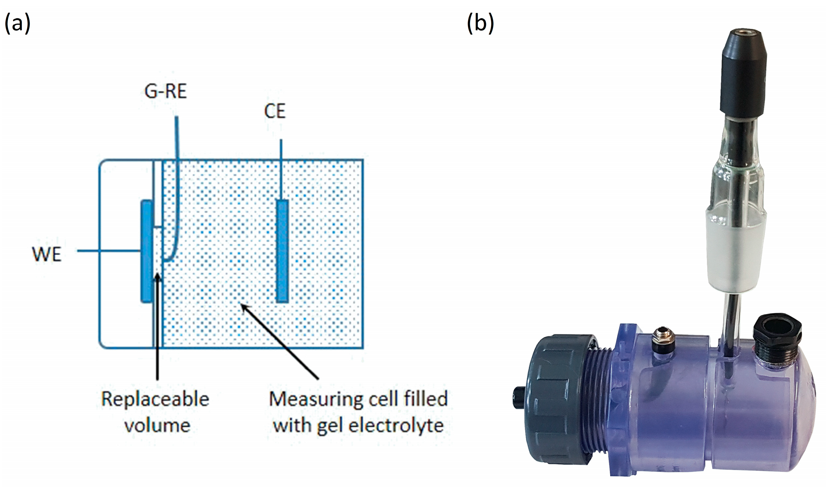 Coatings 13 01256 g001