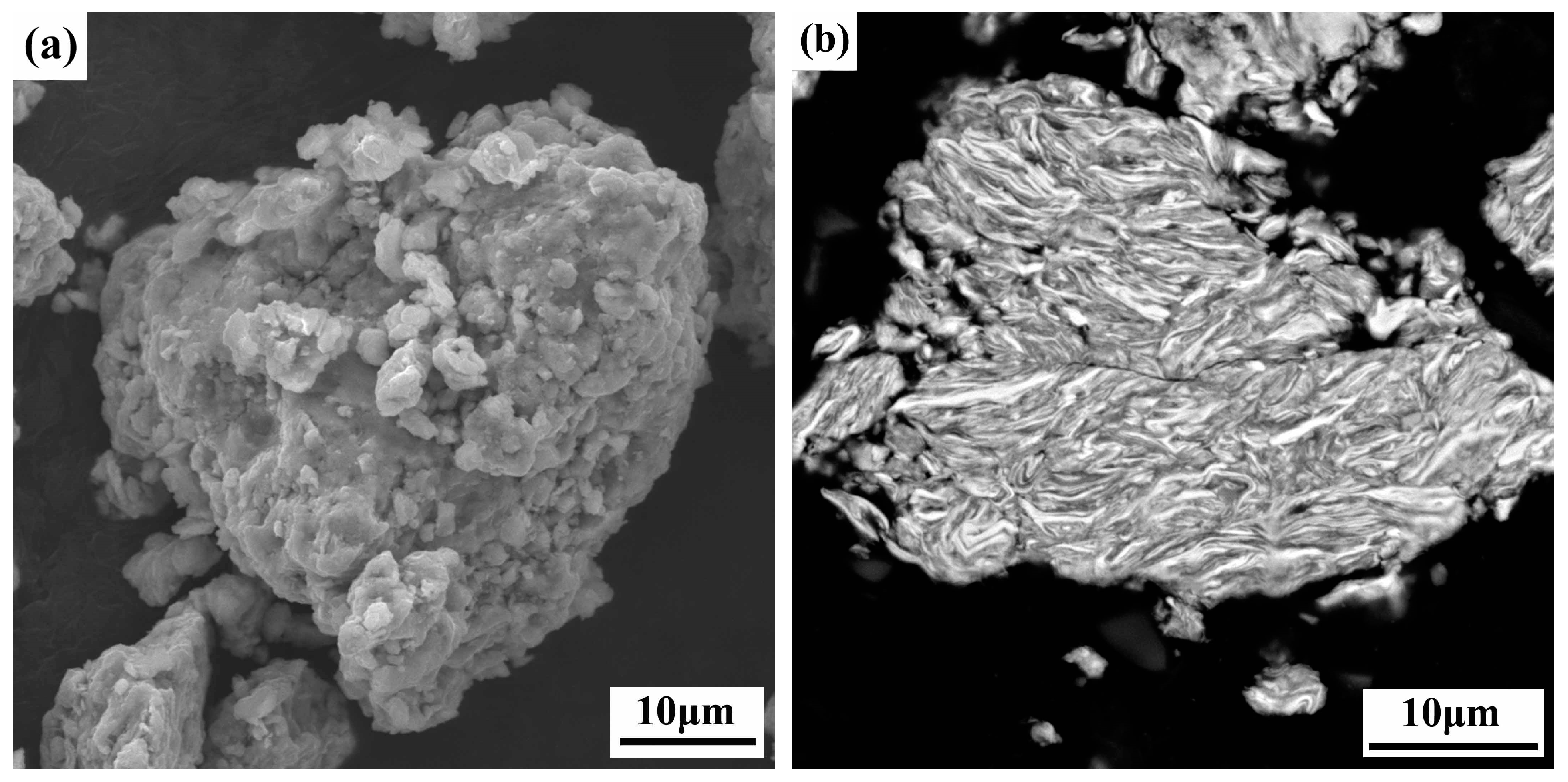 Coatings 13 01260 g001