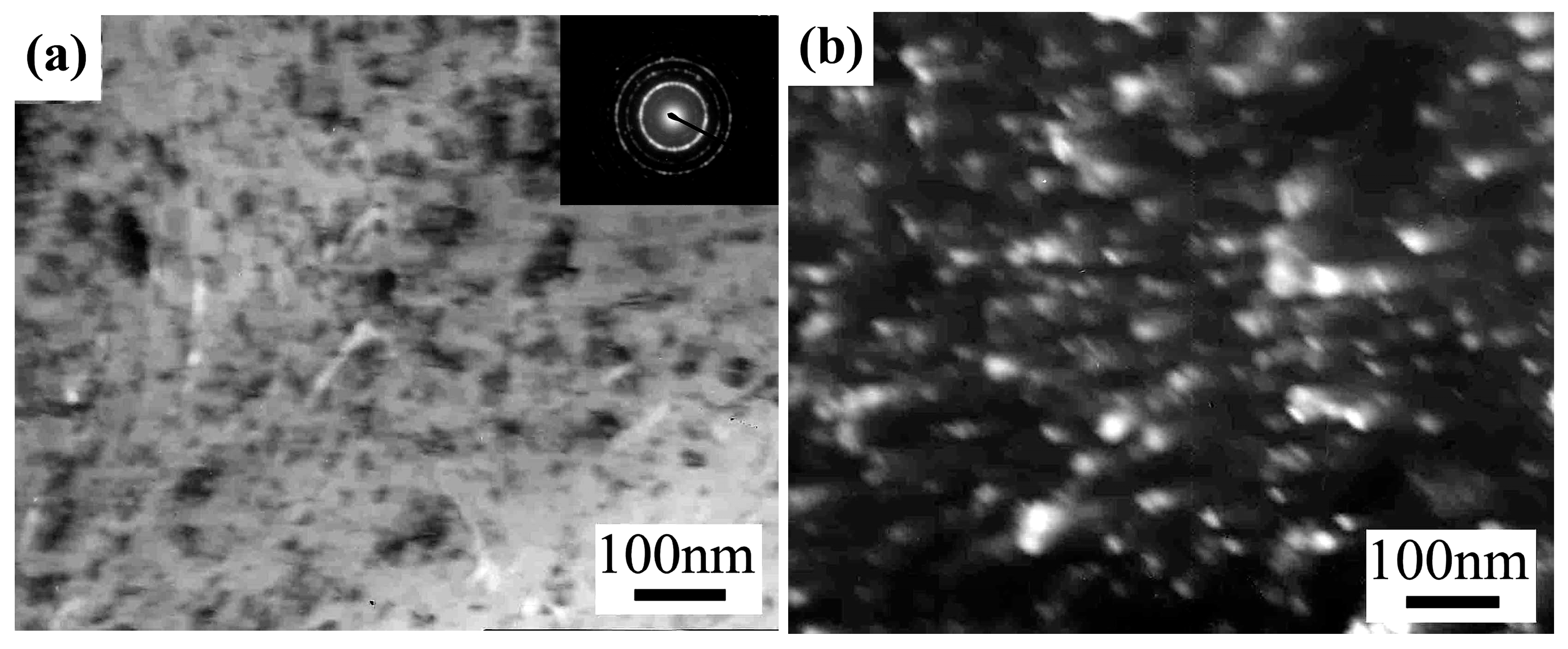 Coatings 13 01260 g003
