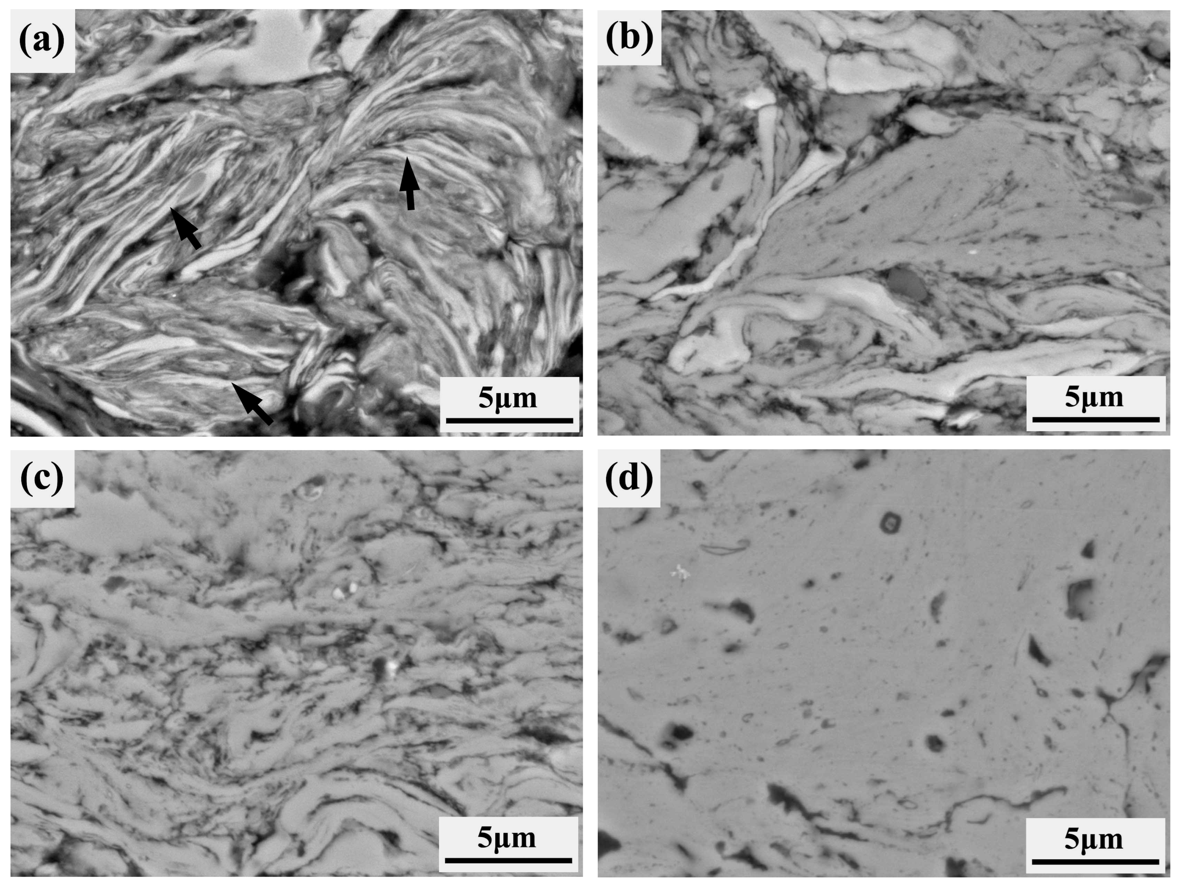 Coatings 13 01260 g005
