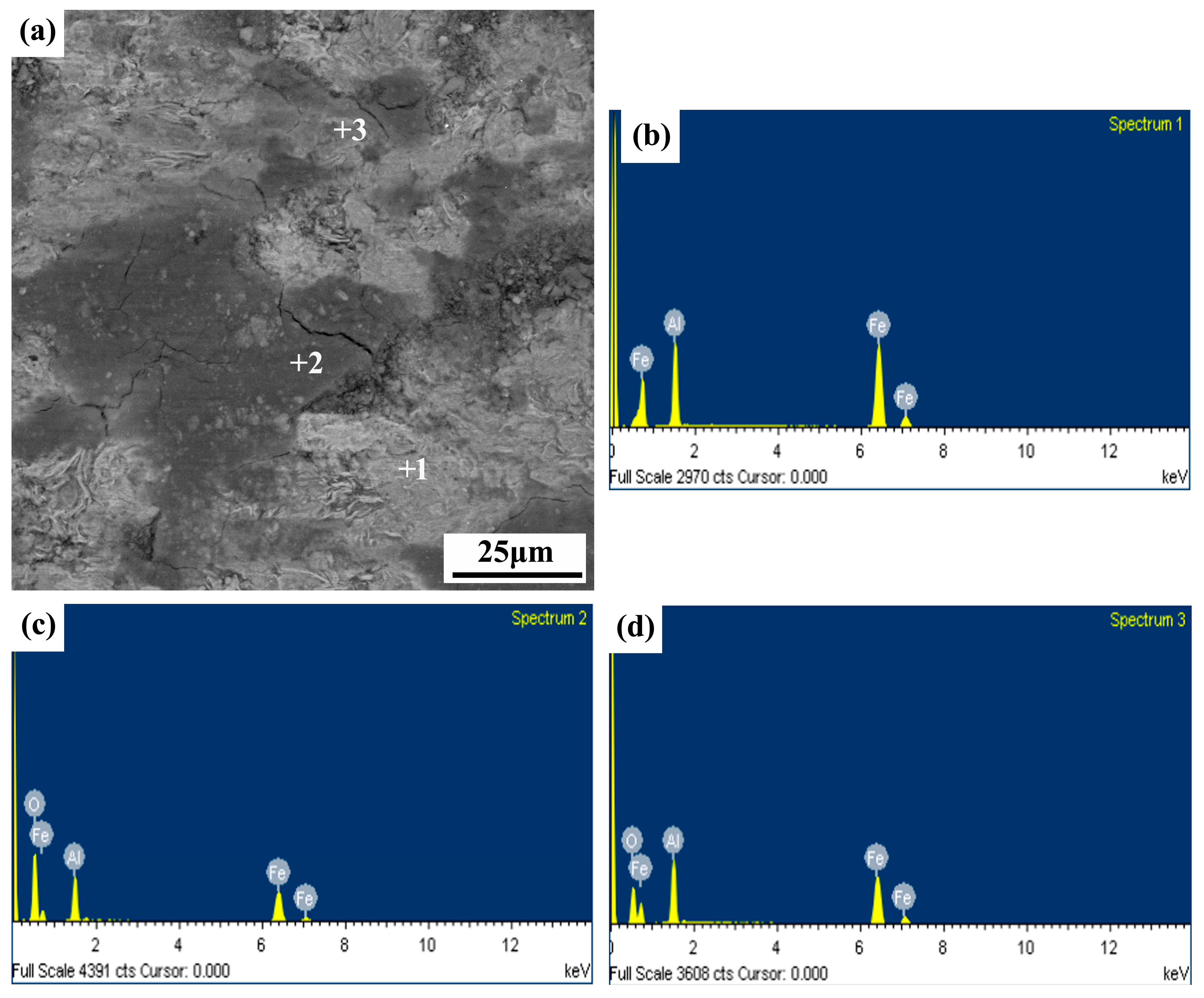 Coatings 13 01260 g010