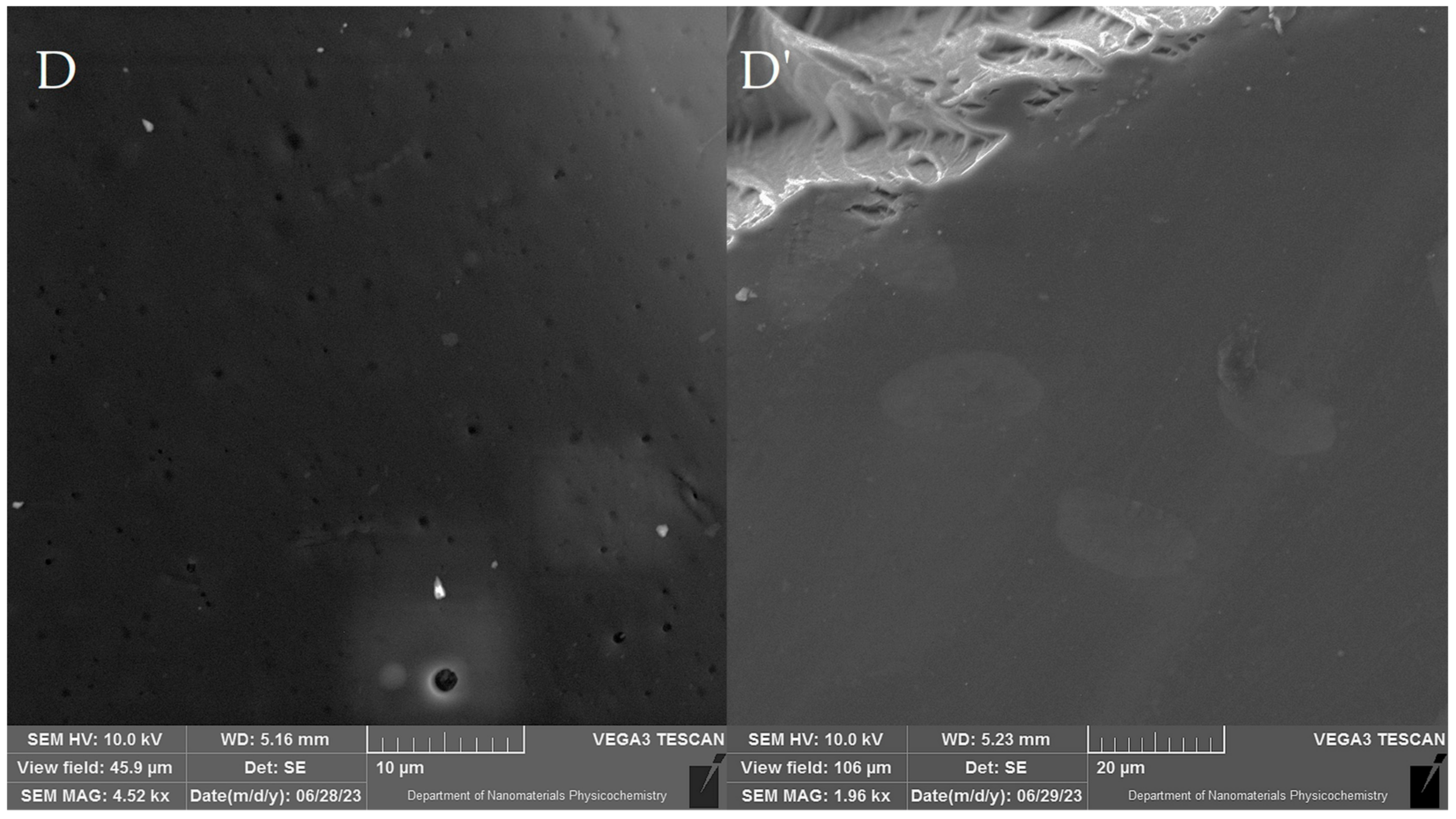 Coatings 13 01262 g001b Coatings 13 01262 g001b