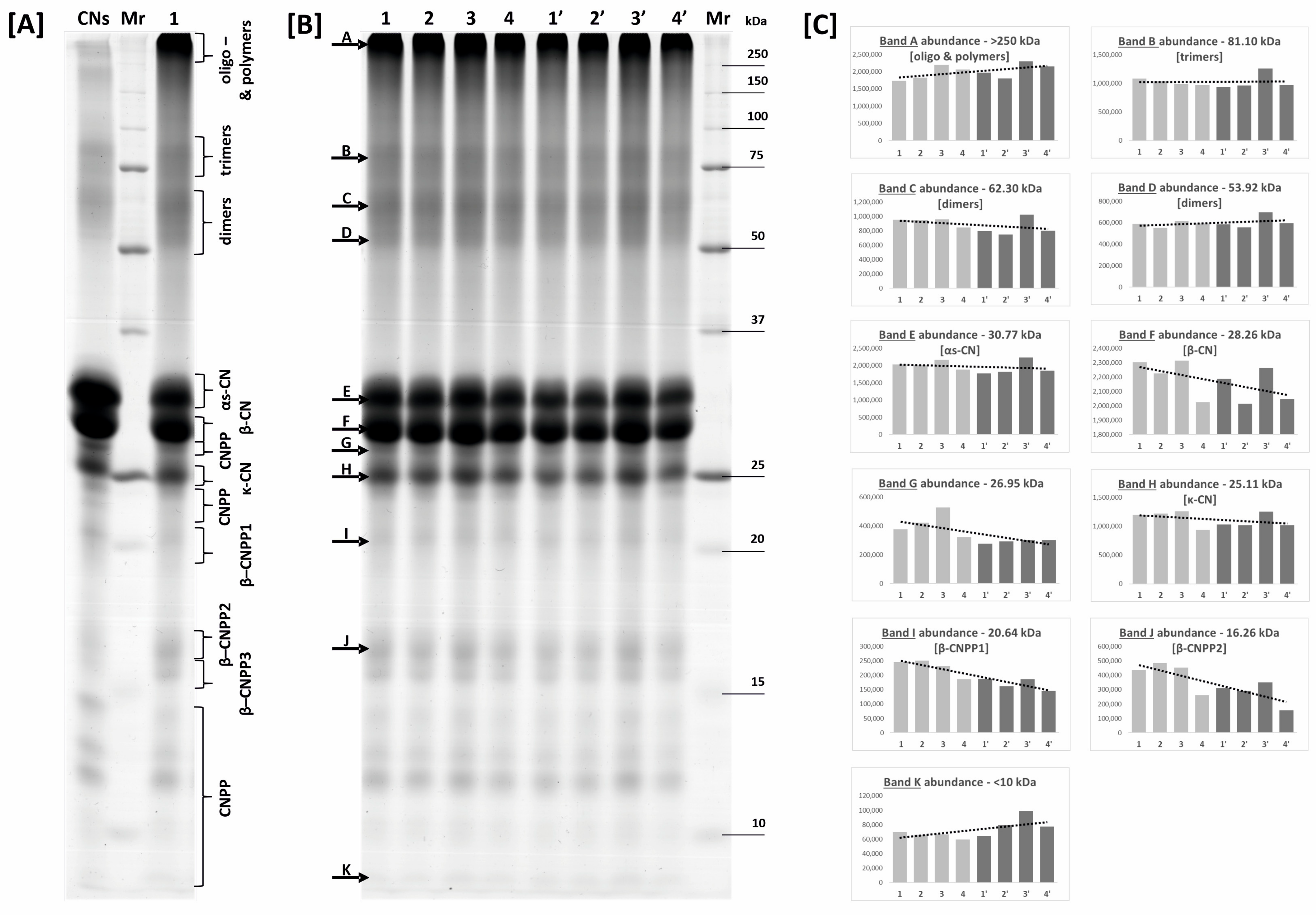 Coatings 13 01262 g004 Coatings 13 01262 g004