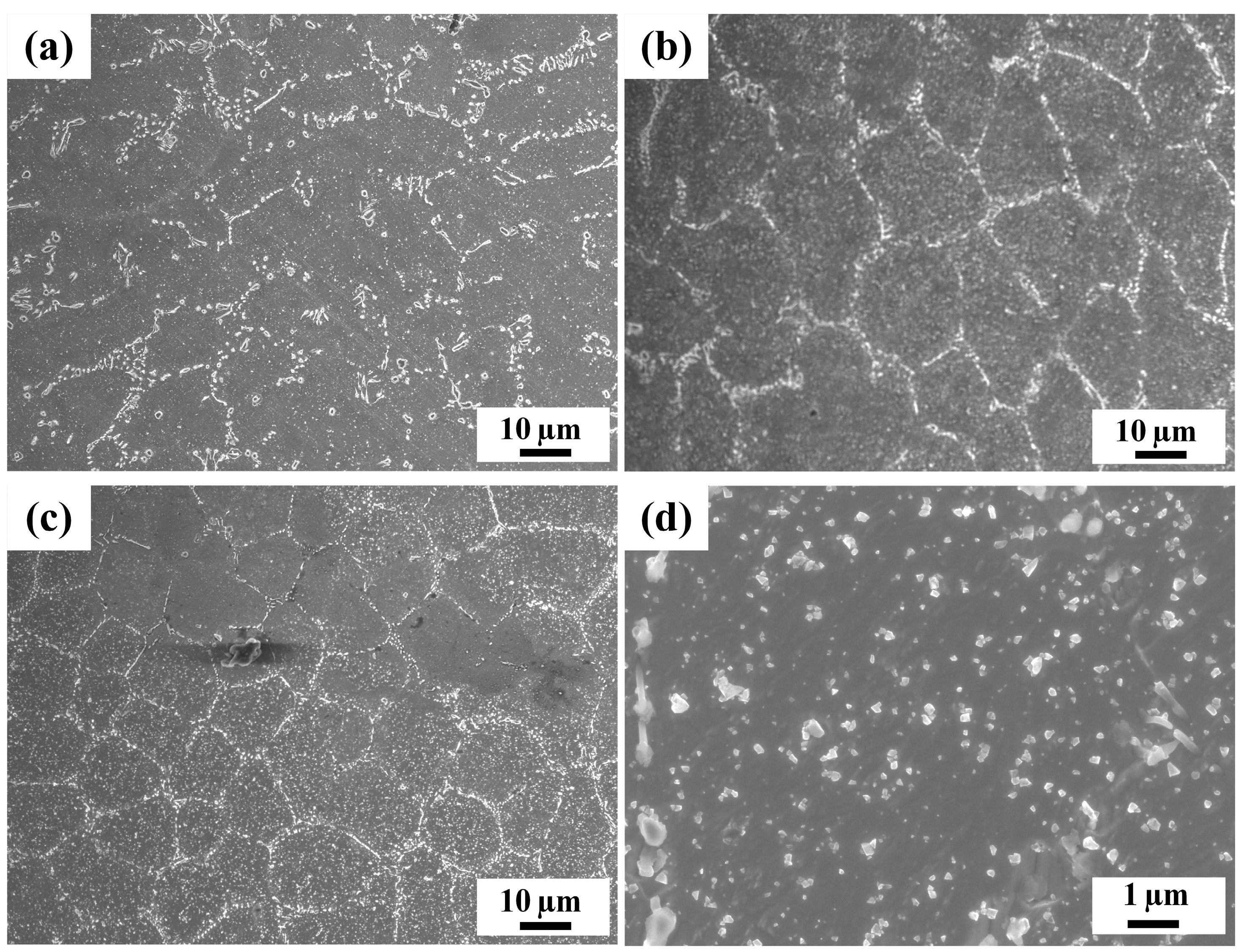 Coatings 13 01263 g004 550
