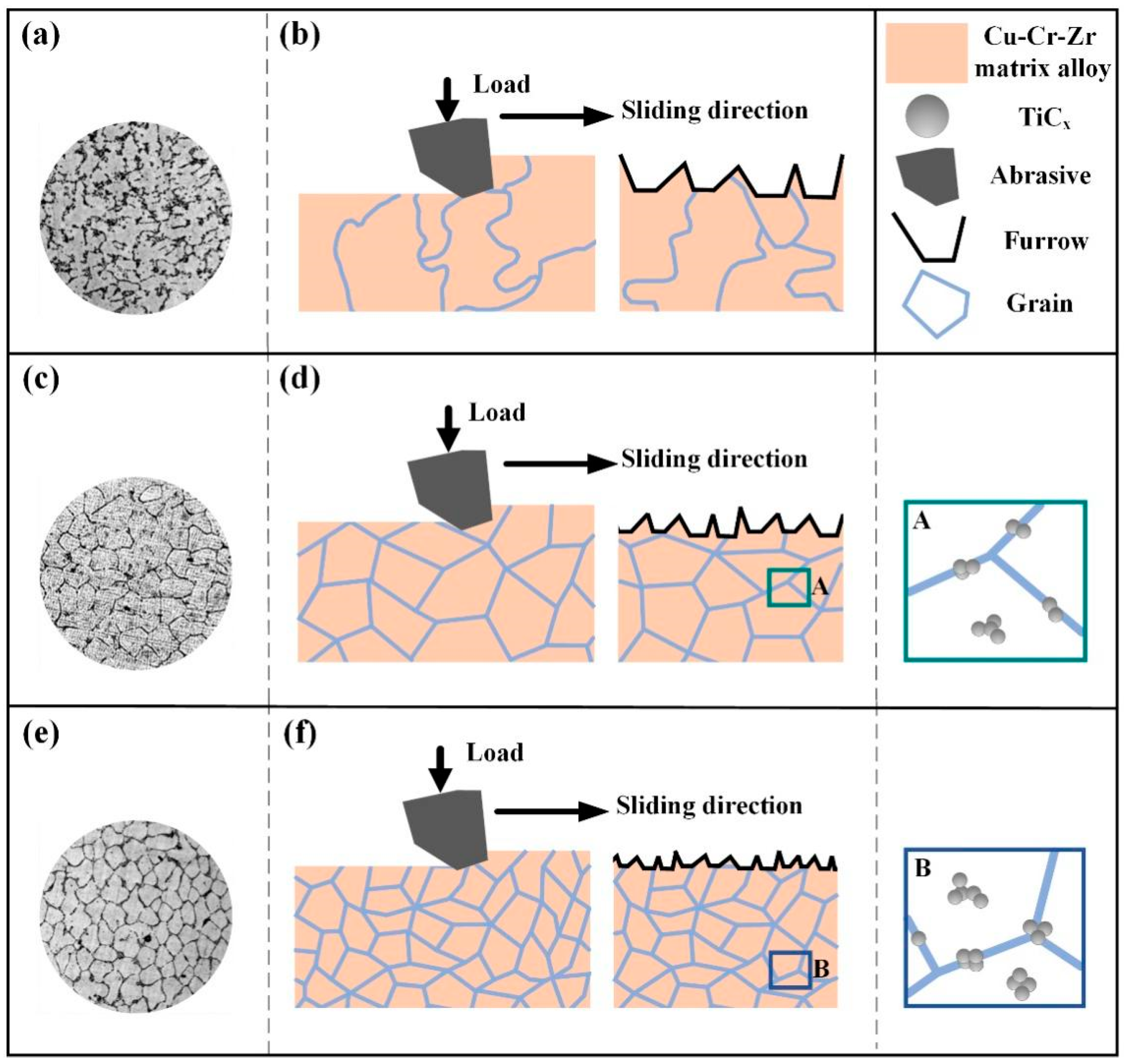 Coatings 13 01263 g007 550