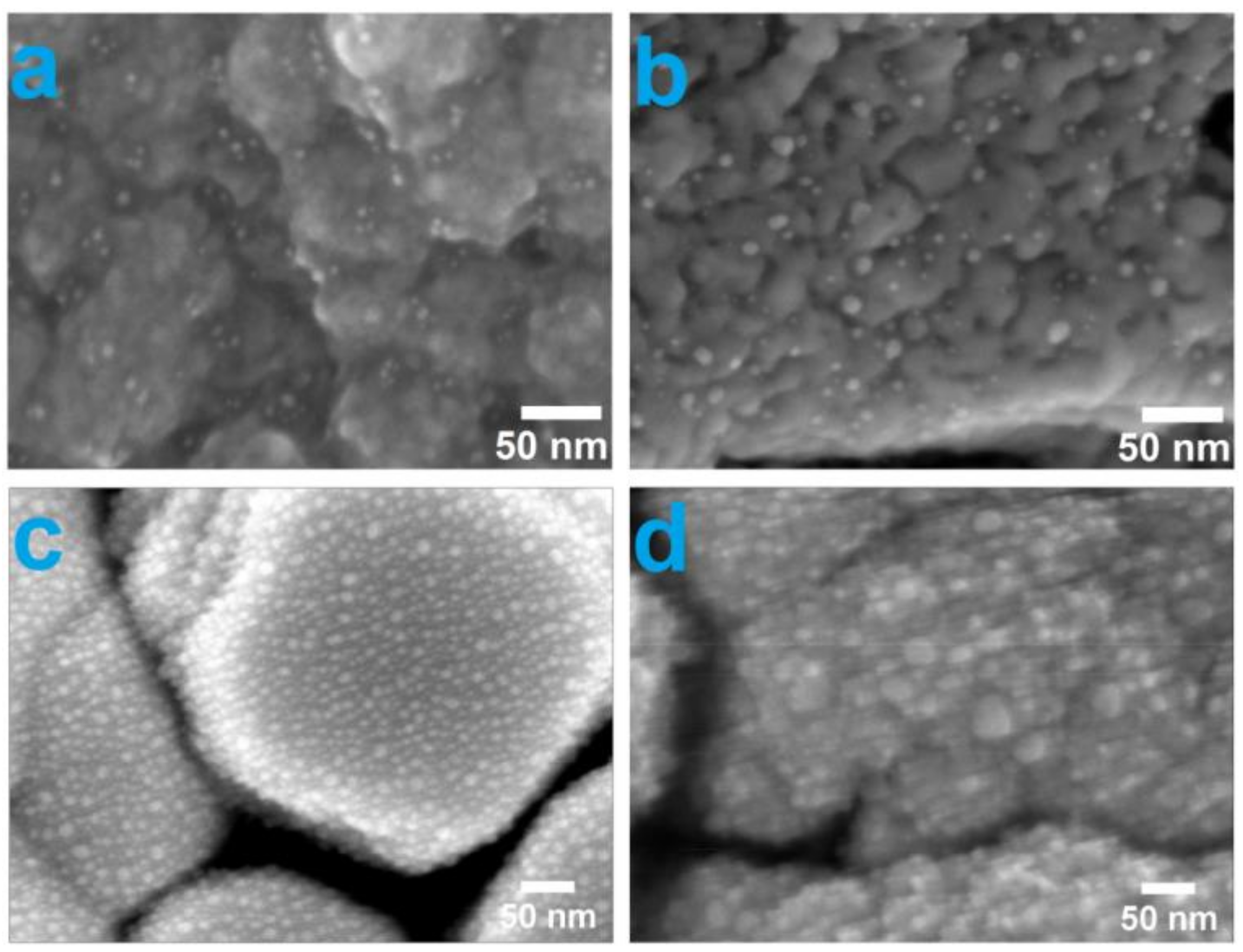 Coatings 13 01269 g001 Coatings 13 01269 g001
